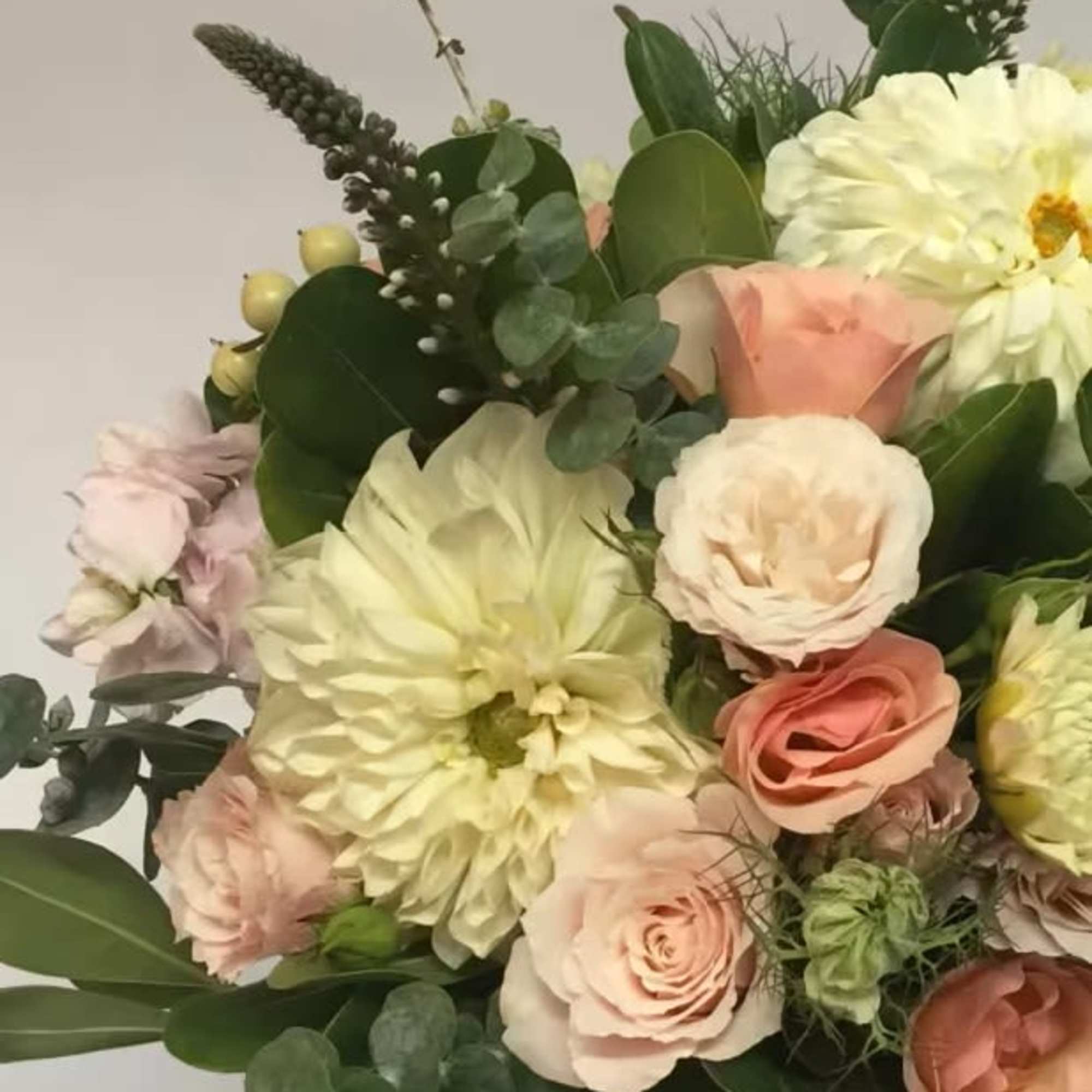 Bouquet of pale pink and cream flowers with dark green foliage