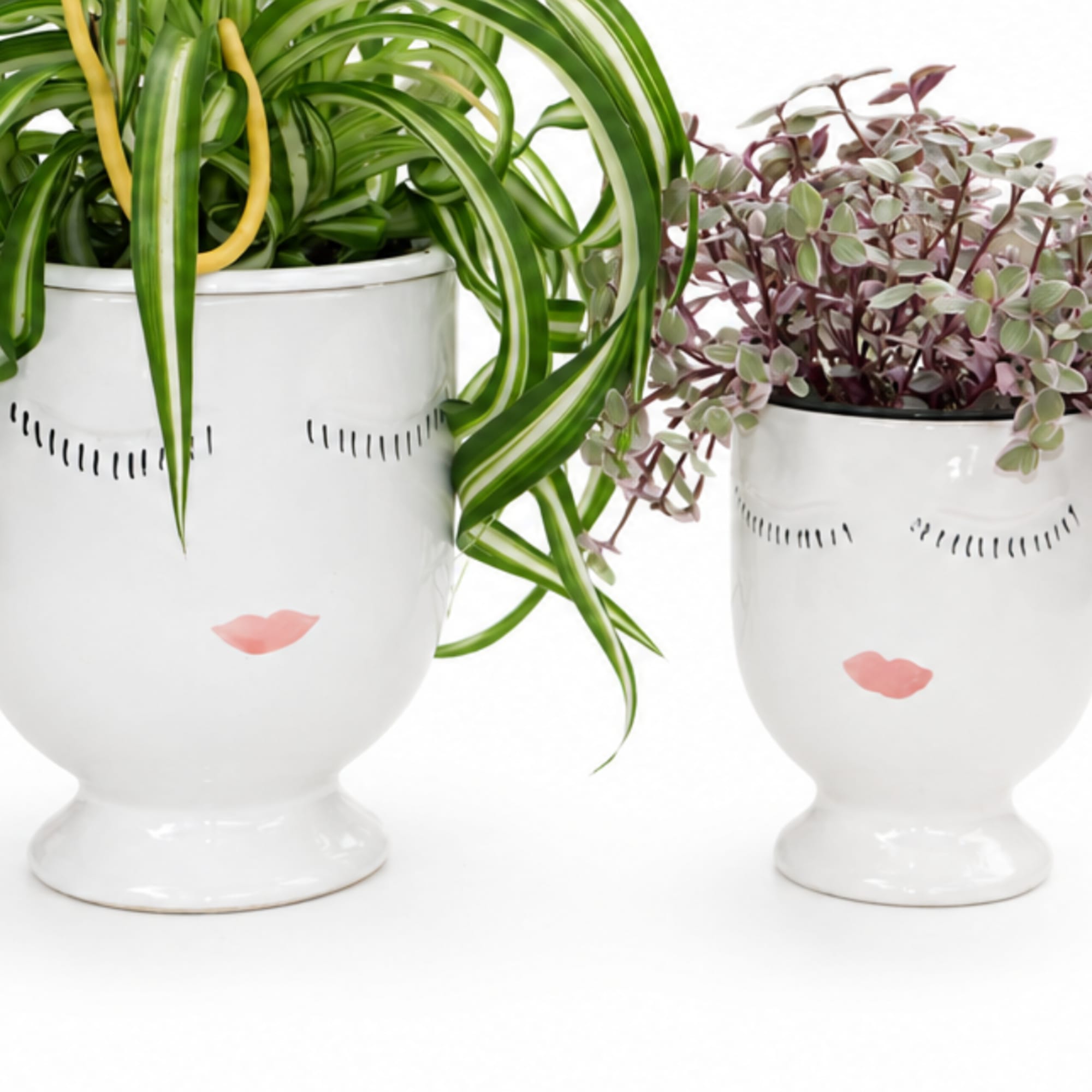 Two potted plants in white face planters with painted eyes and lips