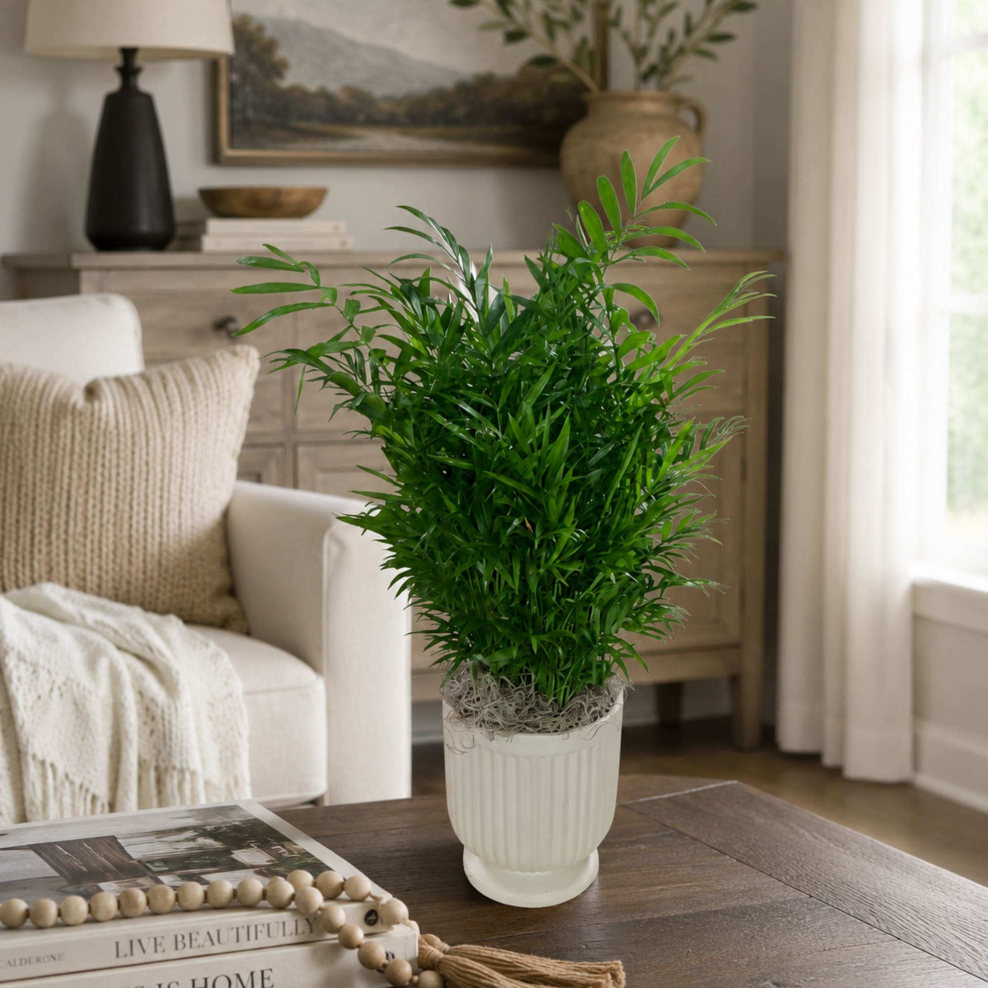 Potted green houseplant in a white ribbed container on a table