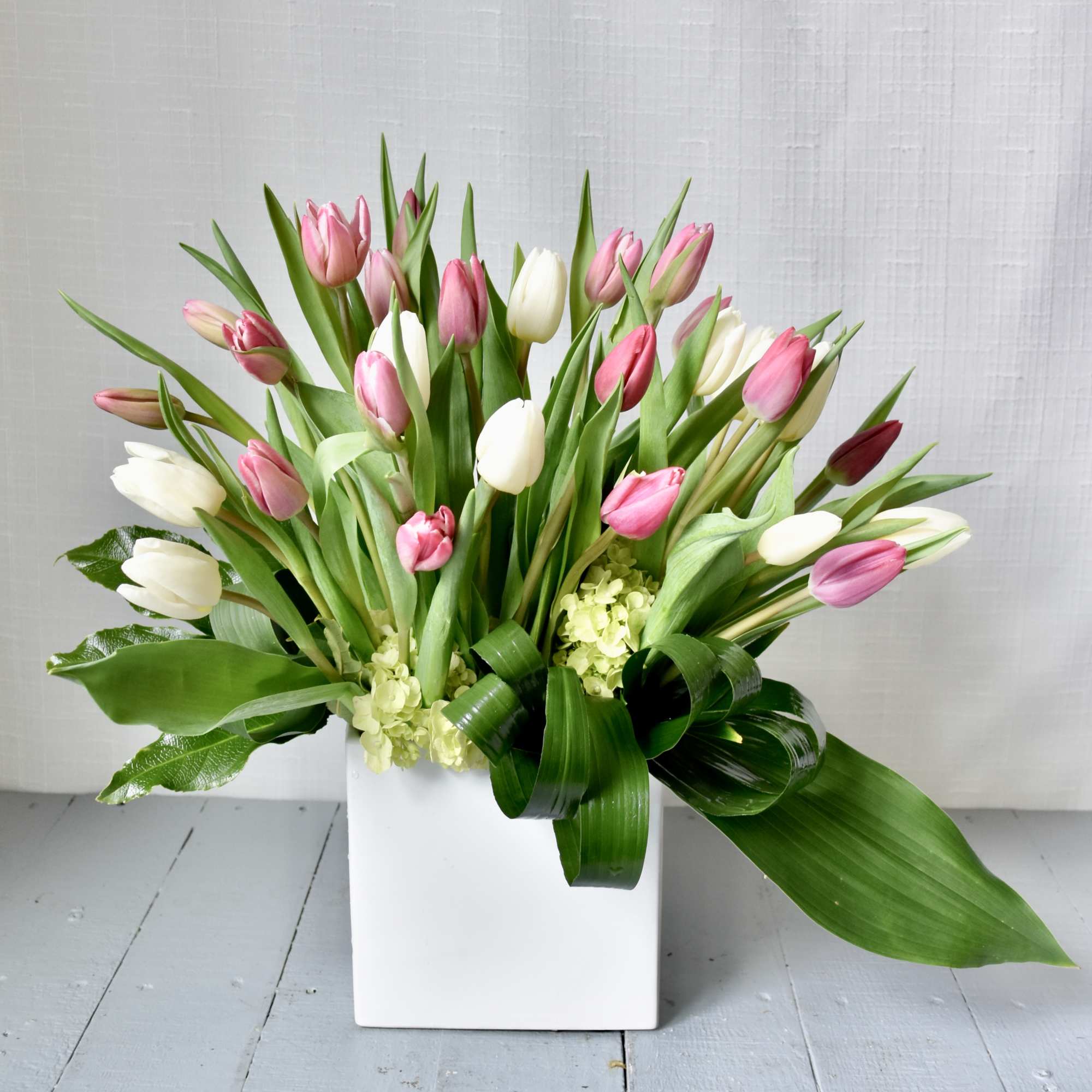 Pink and white tulip arrangement in a white square vase with large looped green leaves