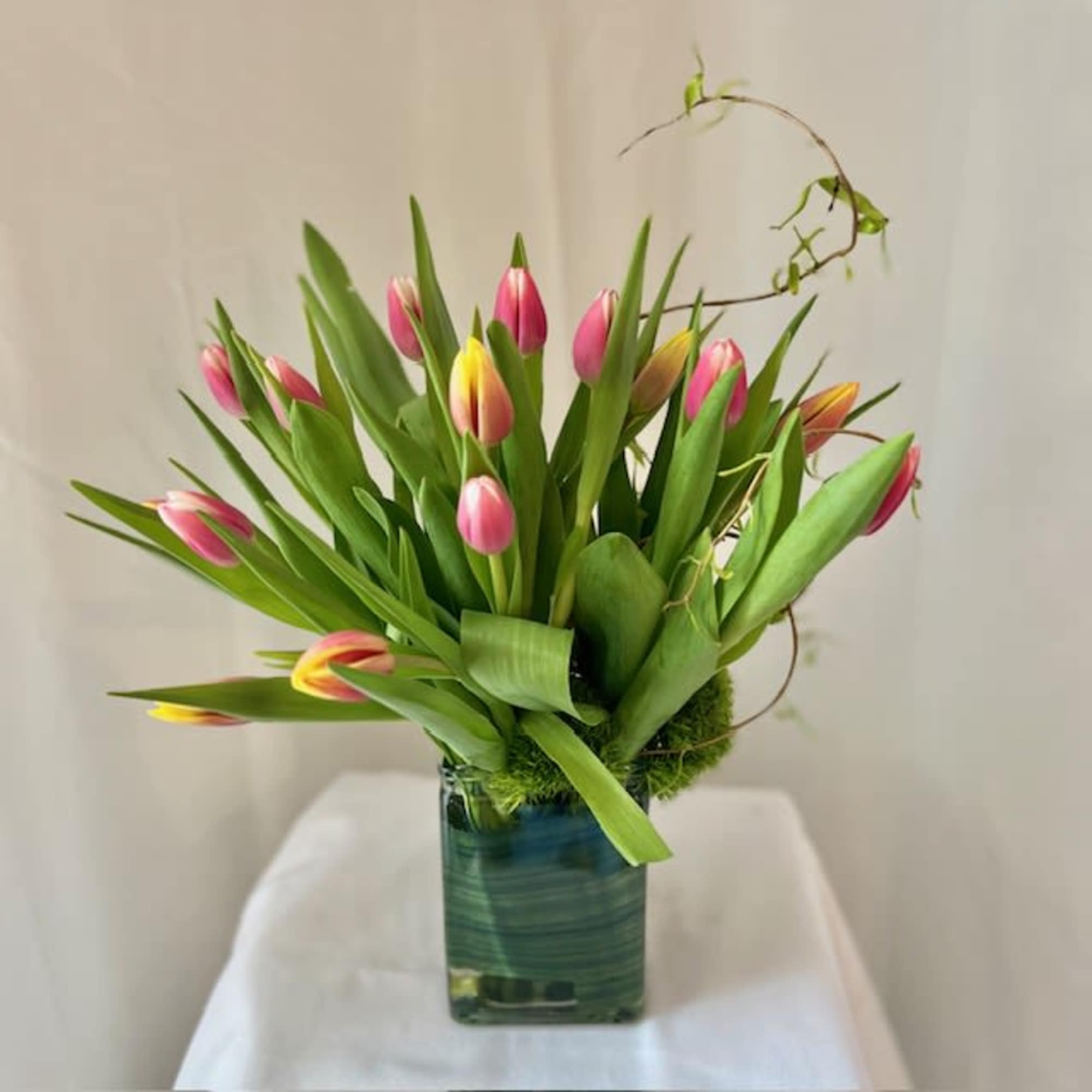 Pink and yellow tulips arranged in a green glass cube vase with tall, arching stems.