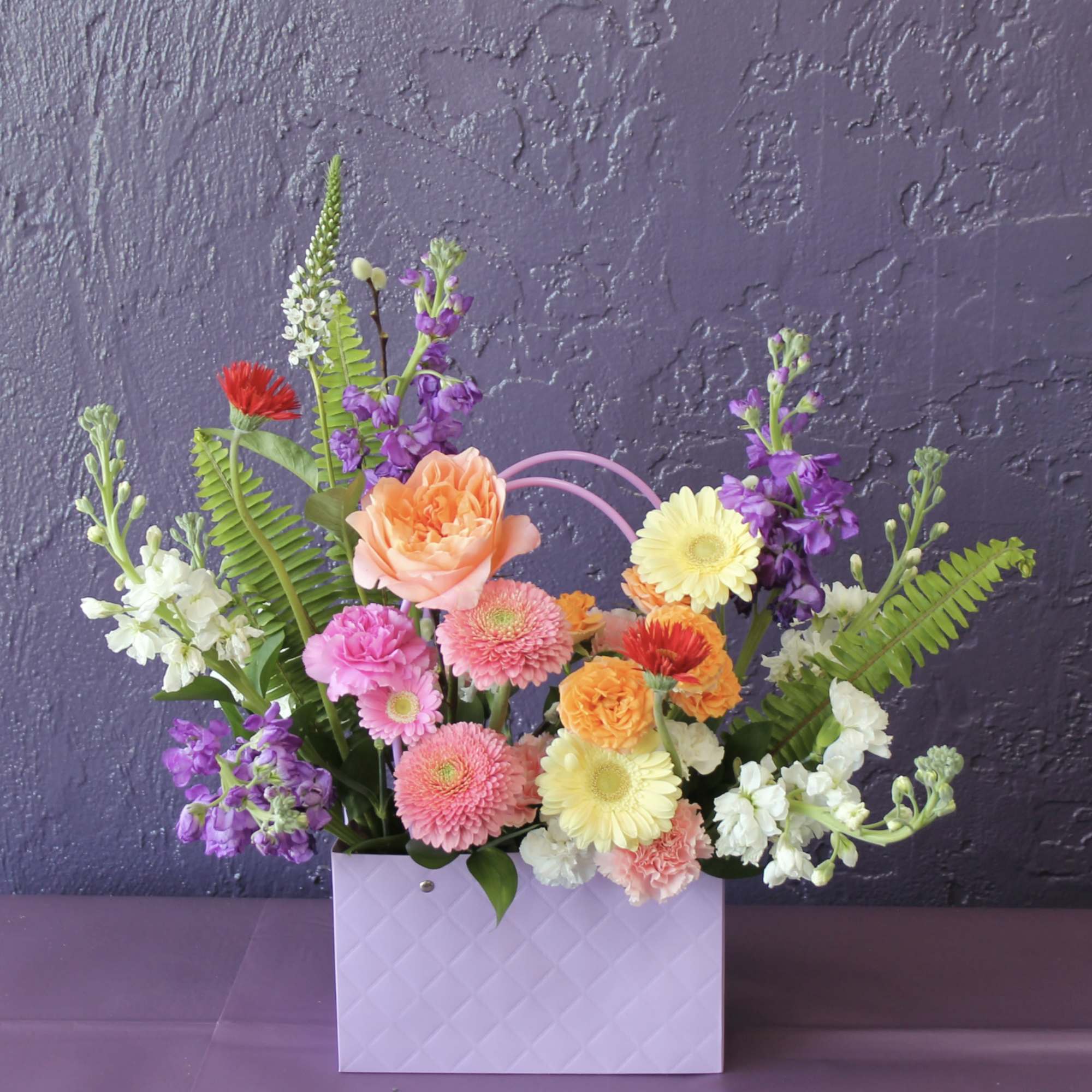 A gentle composition of color and light - like the first warm