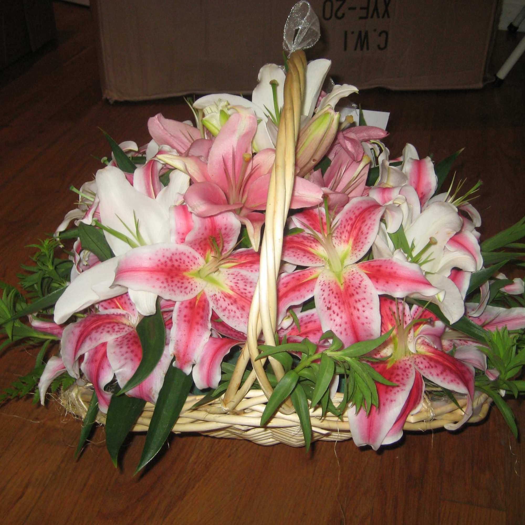 Please call (347) 492 - 5777 for variations and options. Available any