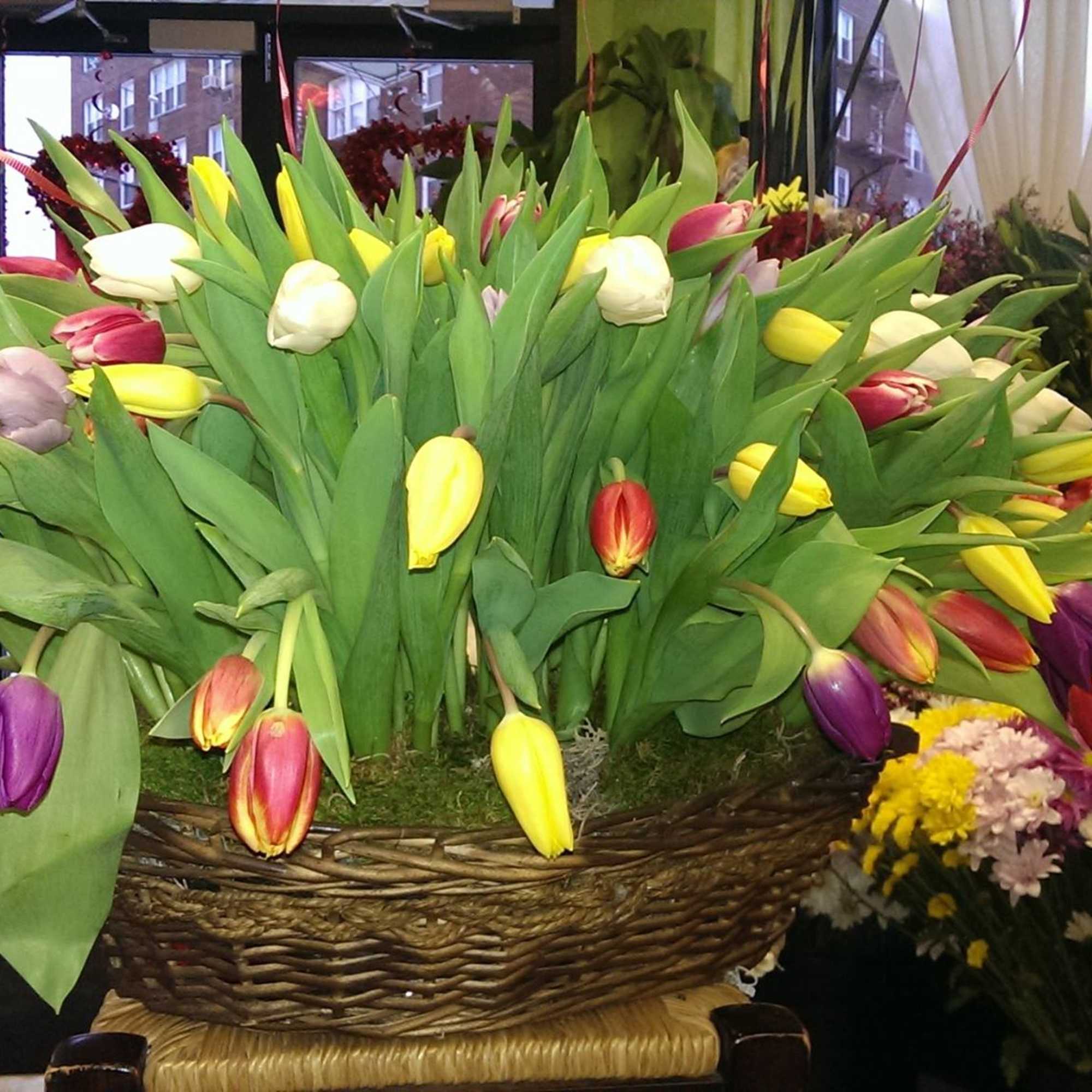 Please call (347) 492 - 5777 for variations and options. Available any, photo 6 of 6