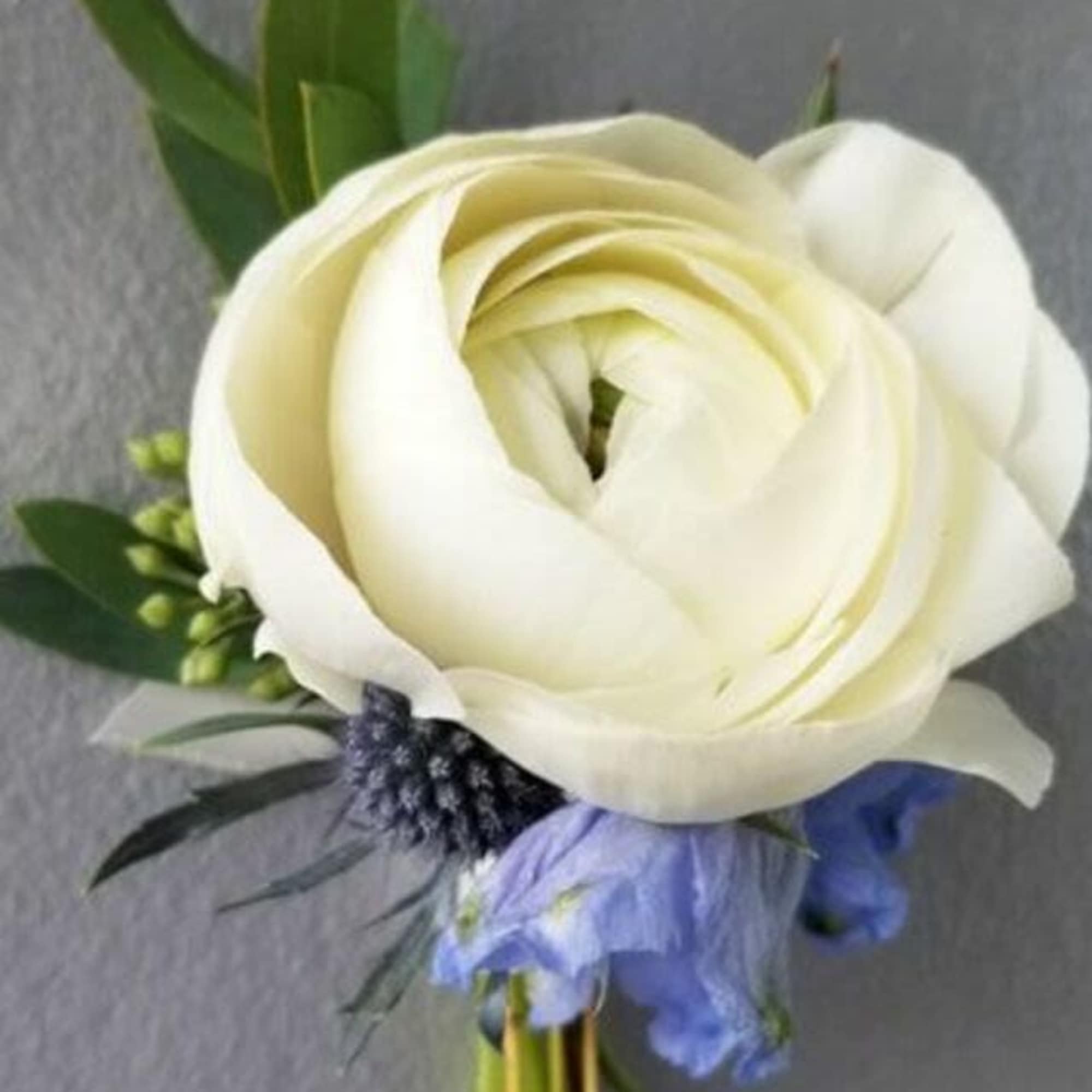 White ranunculus bouquet with blue flowers and greenery