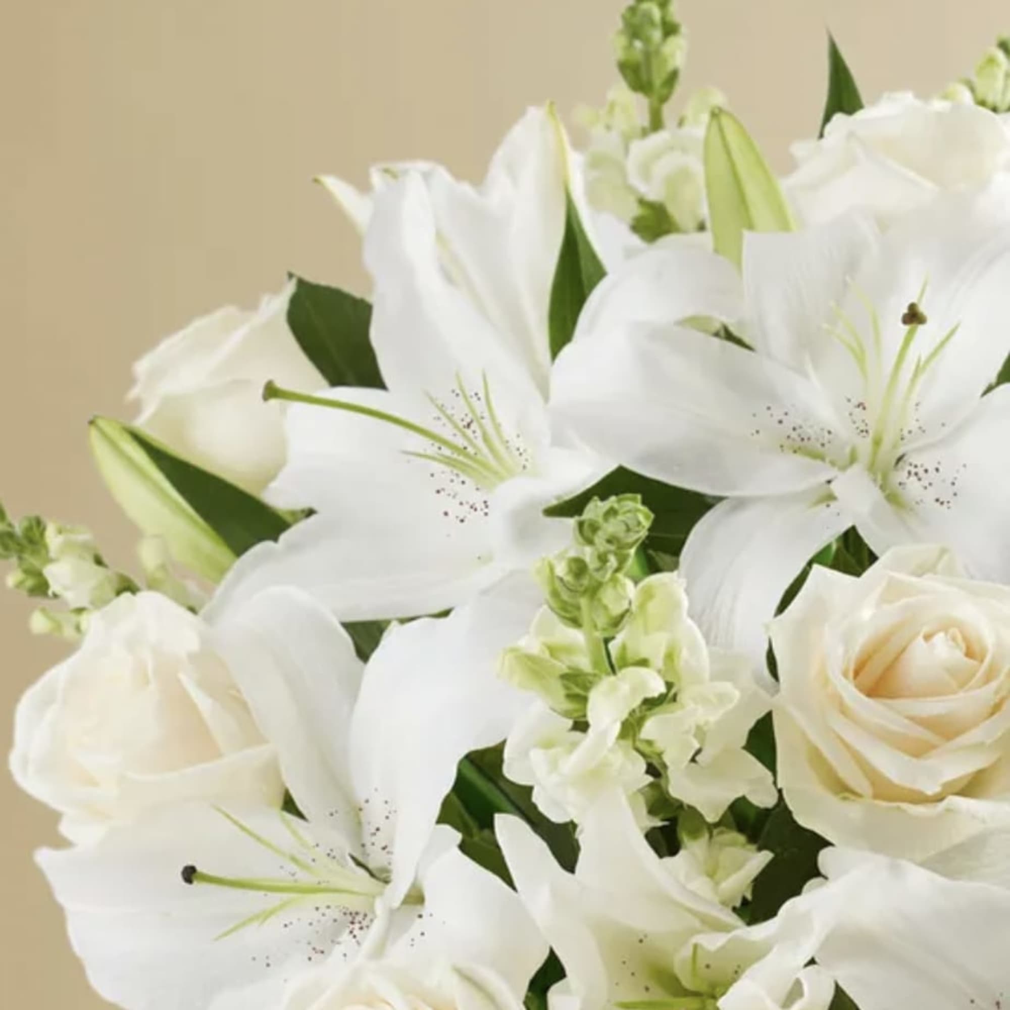 White lilies and cream roses in a bouquet against a beige background