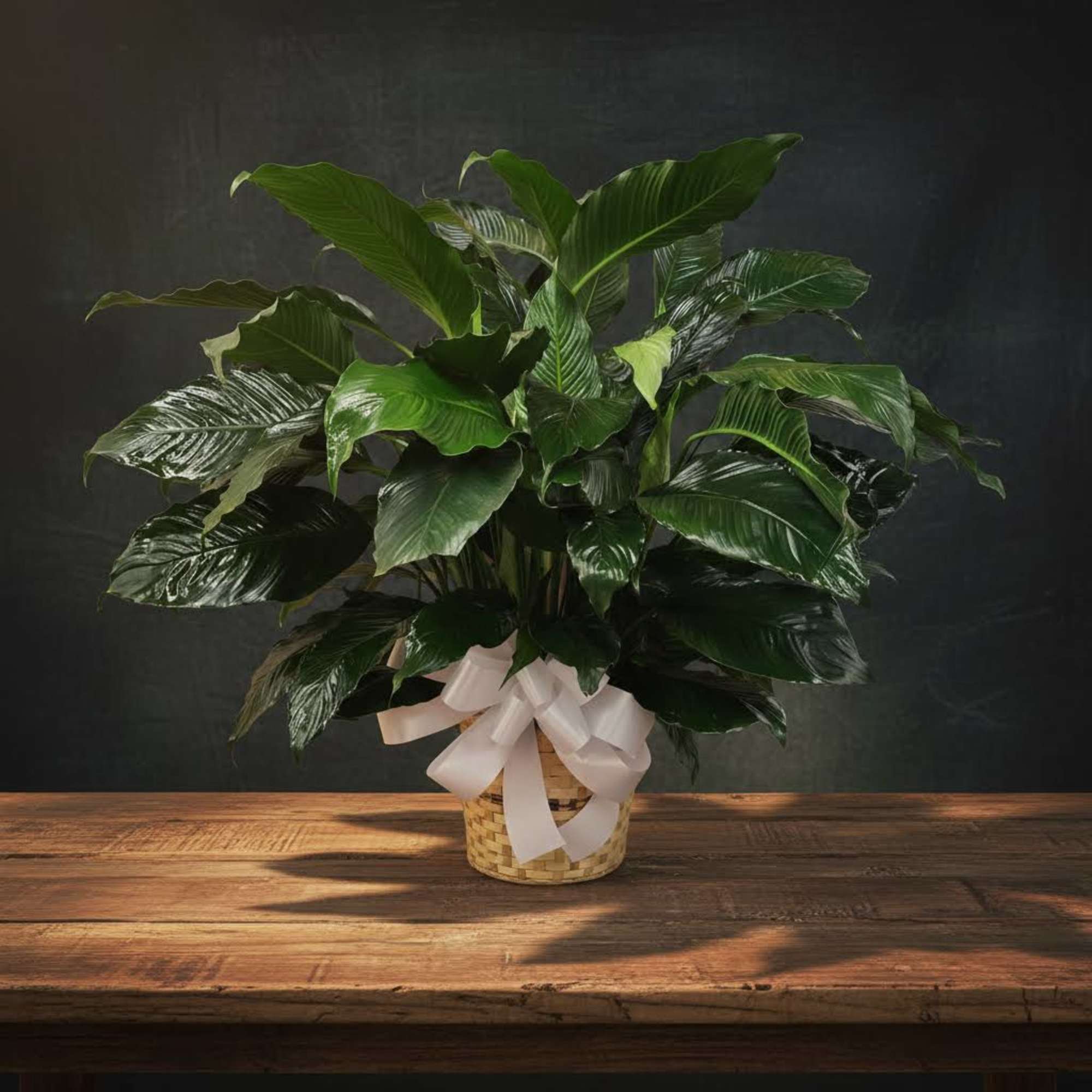 Large Peace Lily in Wicker Basket