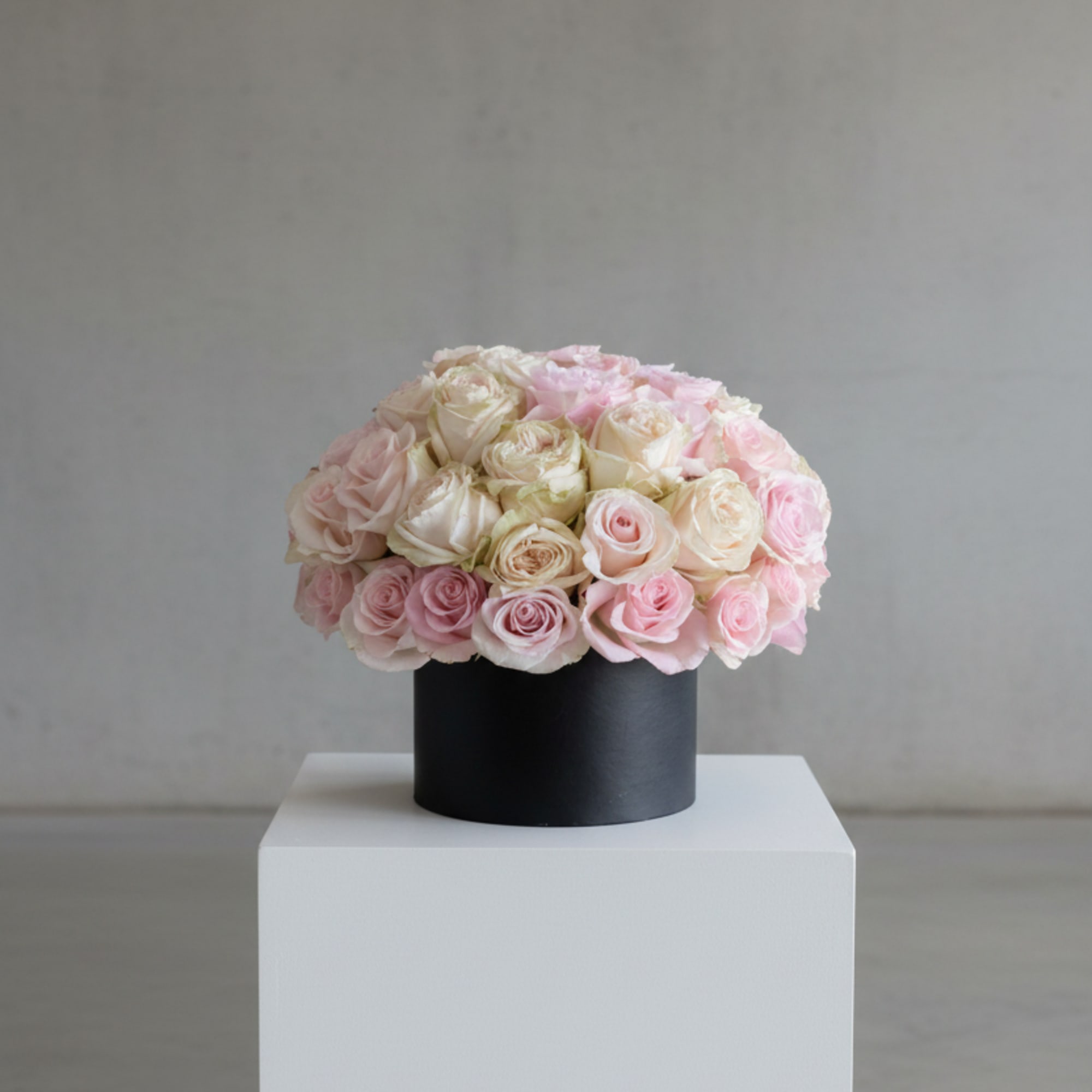 Soft romance meets modern luxury in Blush &amp; Ivory. Approximately 45 blush