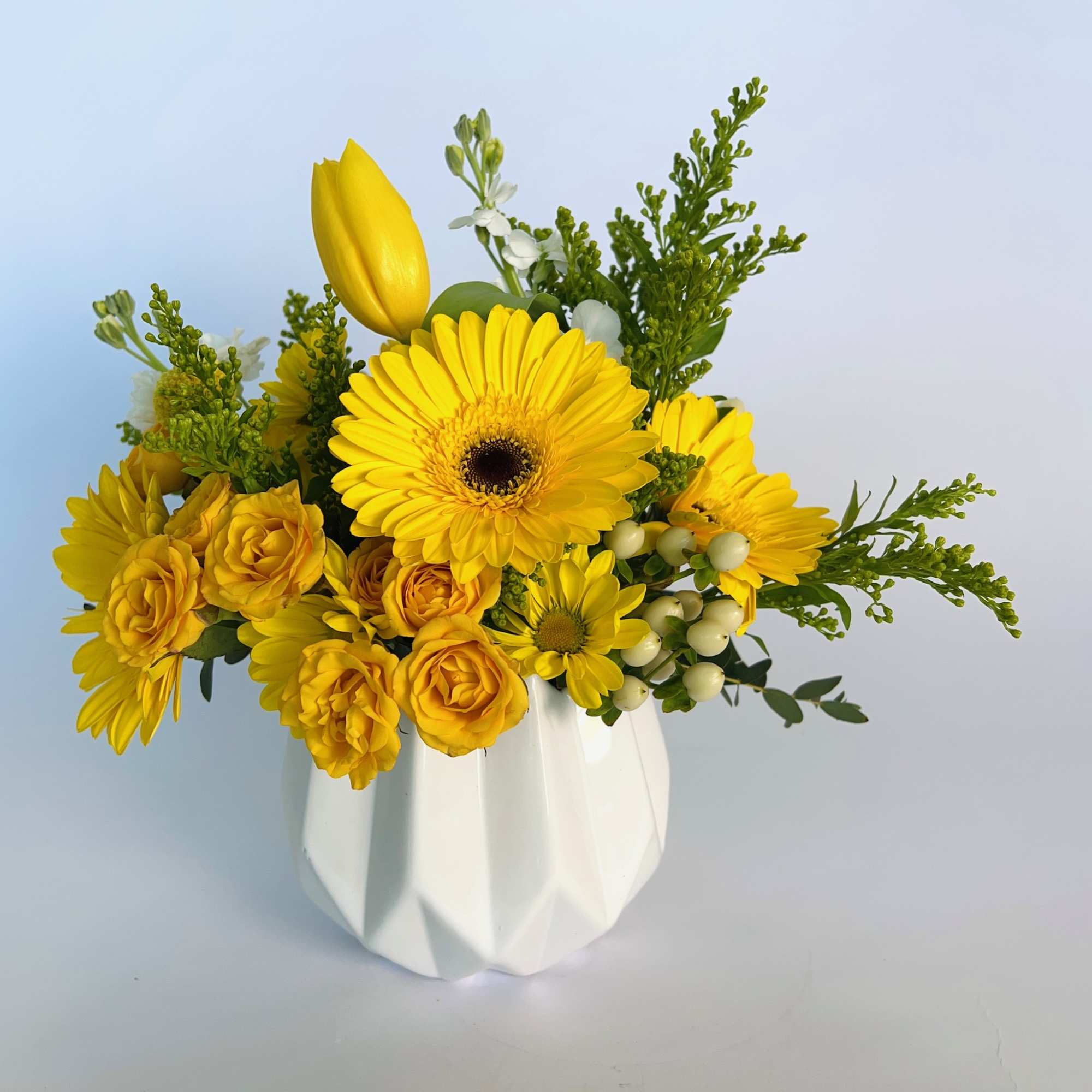 Brightest blooms to sunny up your skies