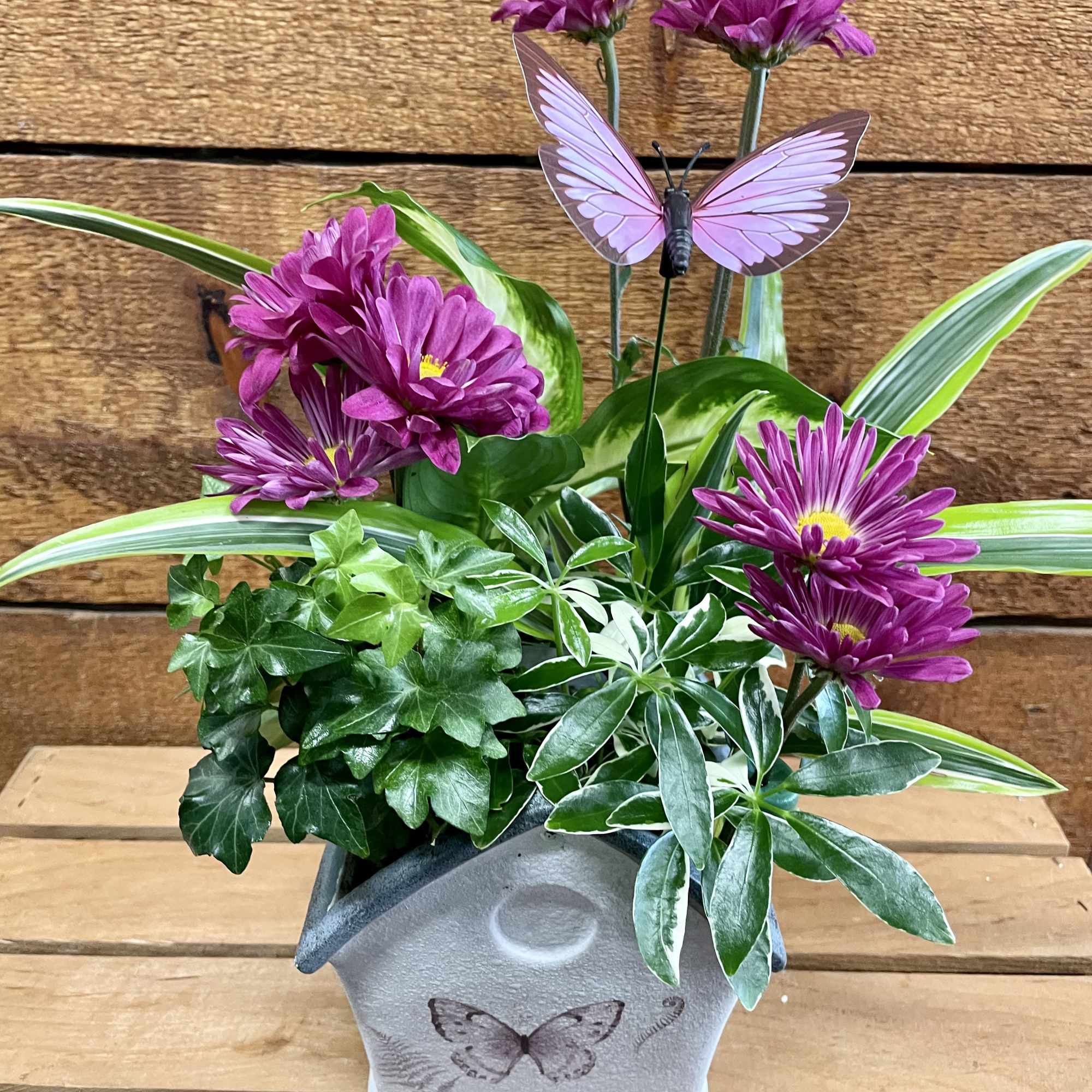 Purple flowers in a butterfly-decorated ceramic planter with mixed foliage