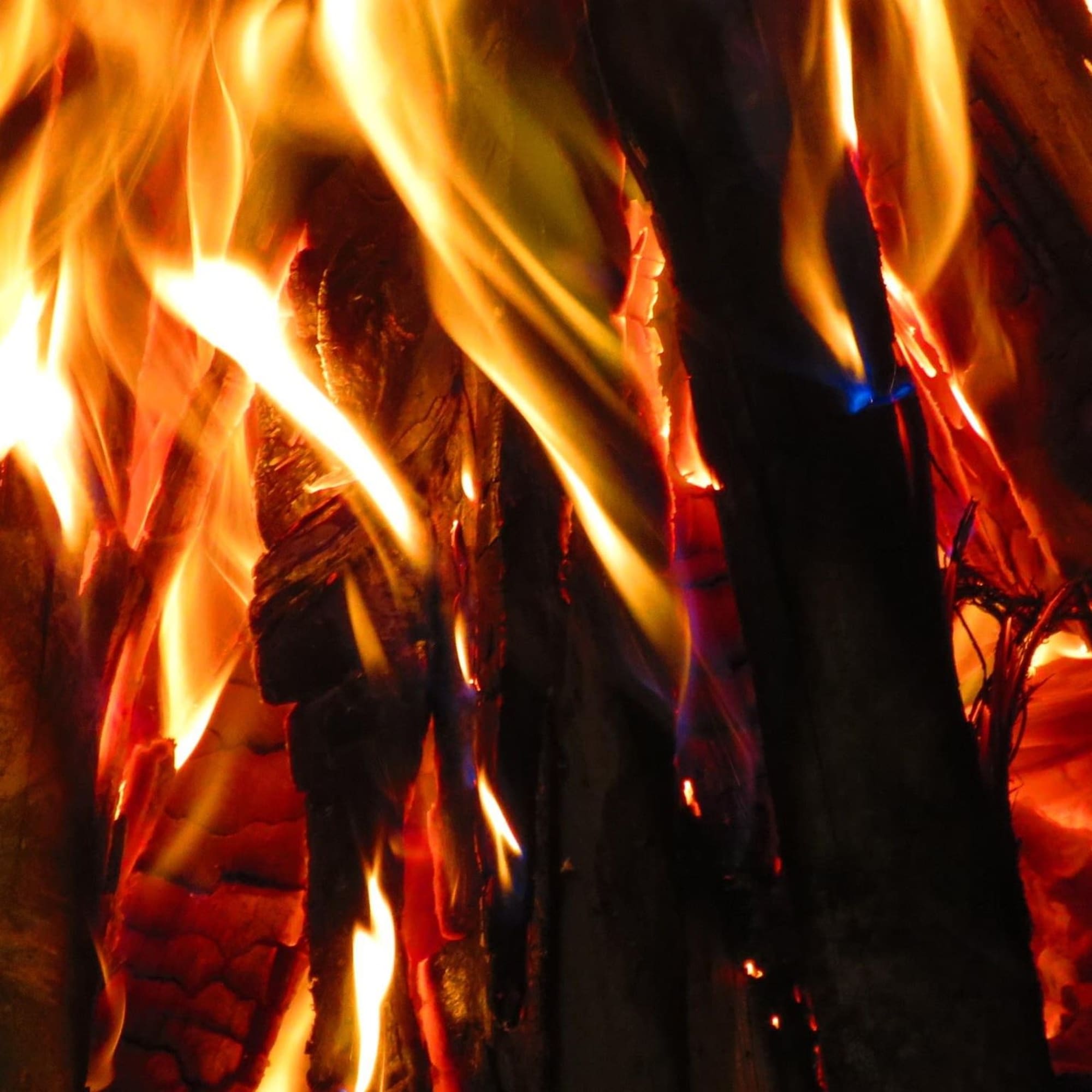 Autumnal equinox and the second harvest festival, celebrating the equivalence of, photo 5 of 5