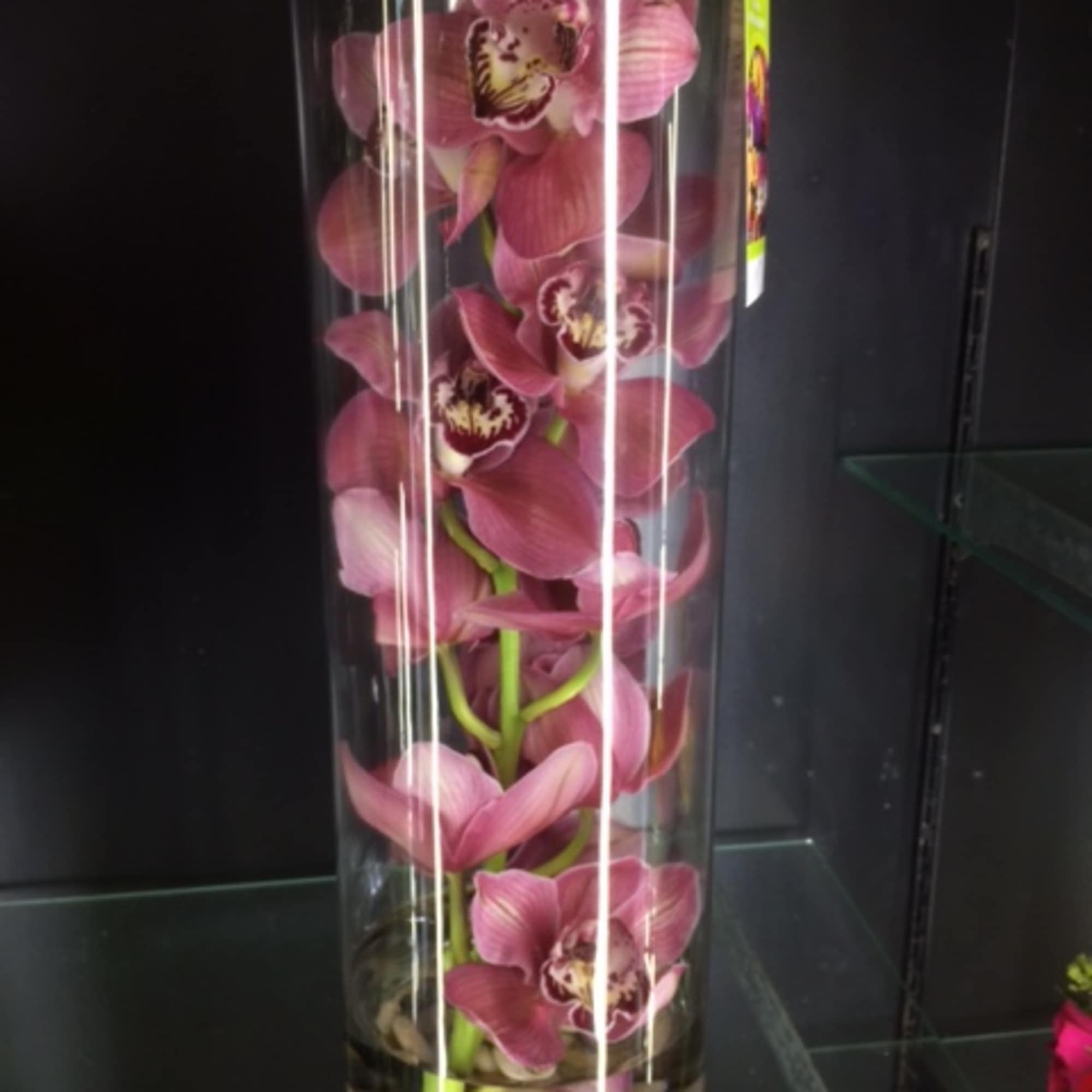 Pink orchids arranged in a tall clear cylinder vase with stones