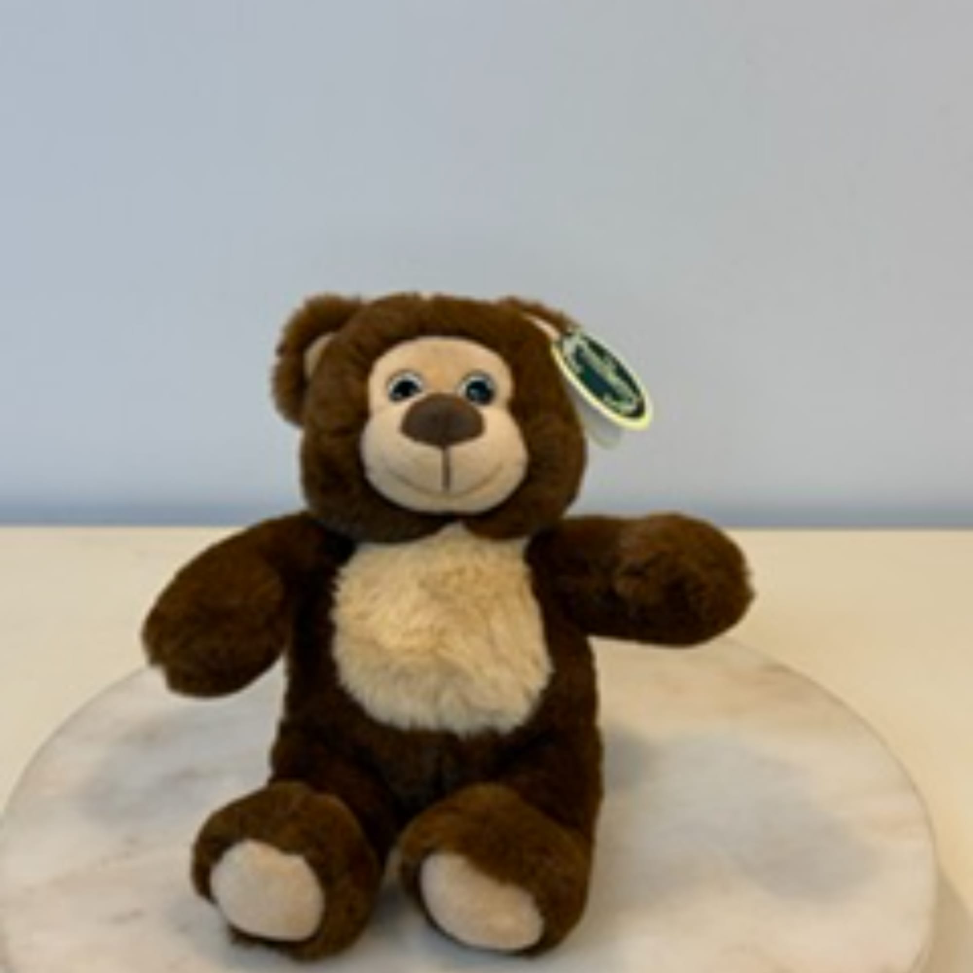 Brown plush teddy bear with a cream belly sitting on a round white surface
