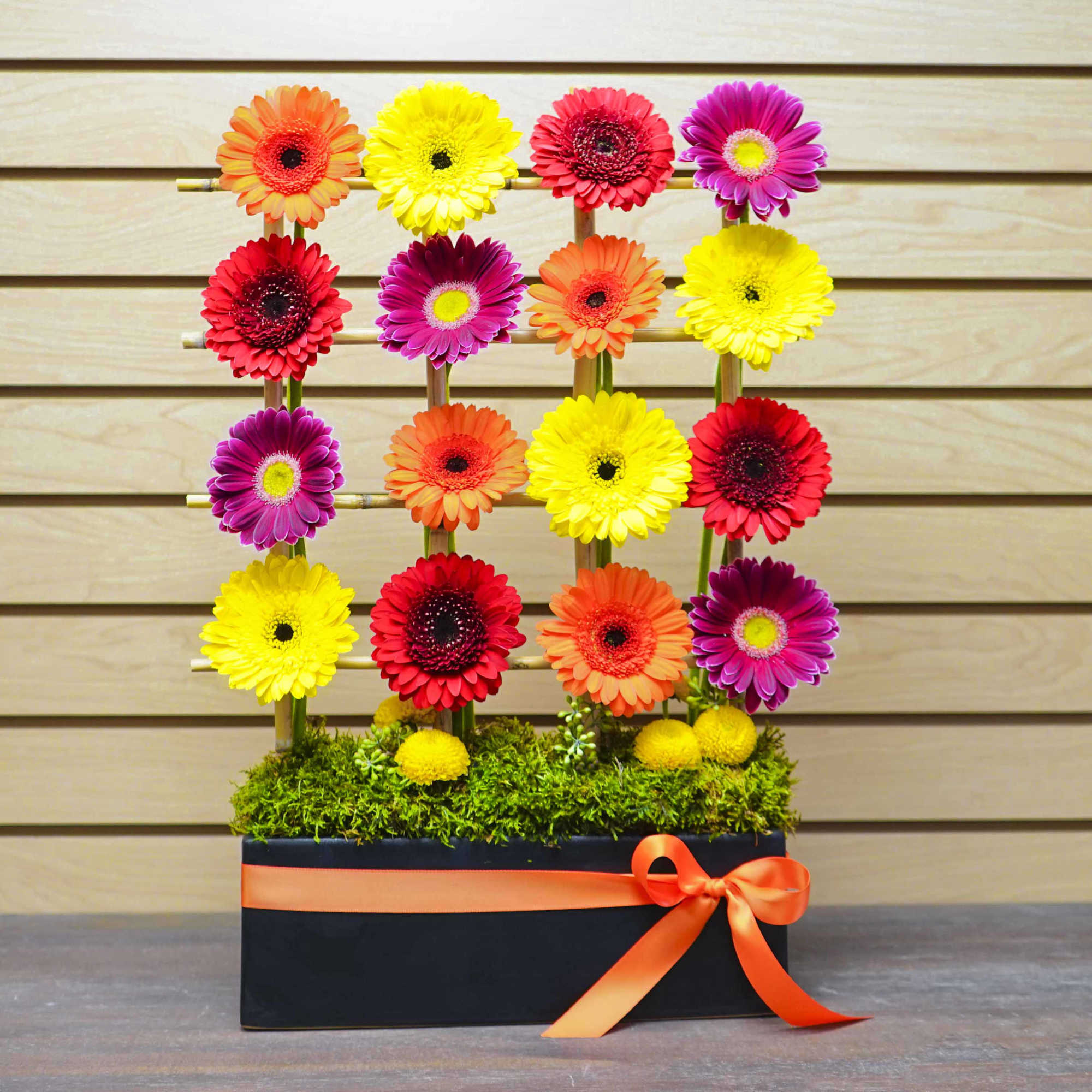 Colorful gerbera daisies arranged in a black box with an orange ribbon