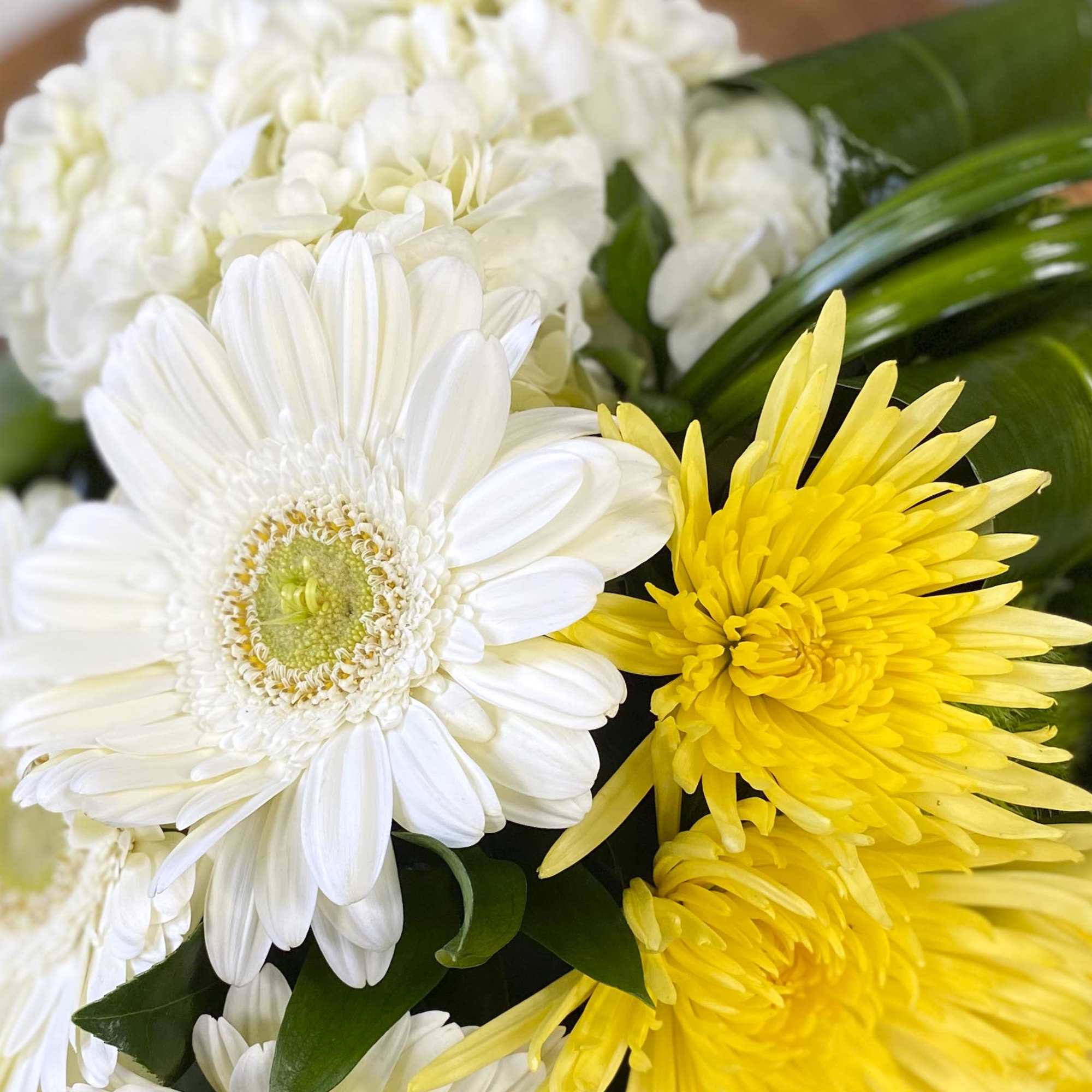 White and yellow daisy-like flowers in a close-up bouquet