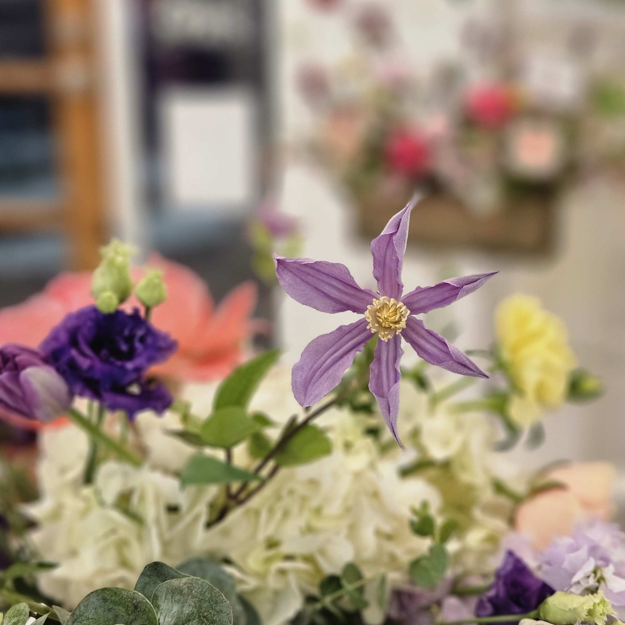 Purple and white mixed bouquet with a star-shaped bloom in front