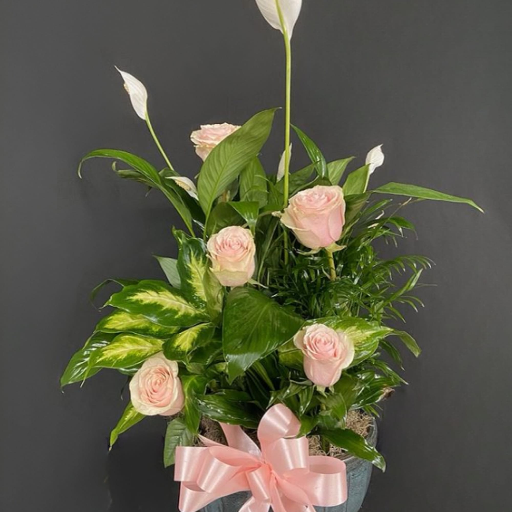 Pink roses and white peace lilies in a gray pot with a pink ribbon