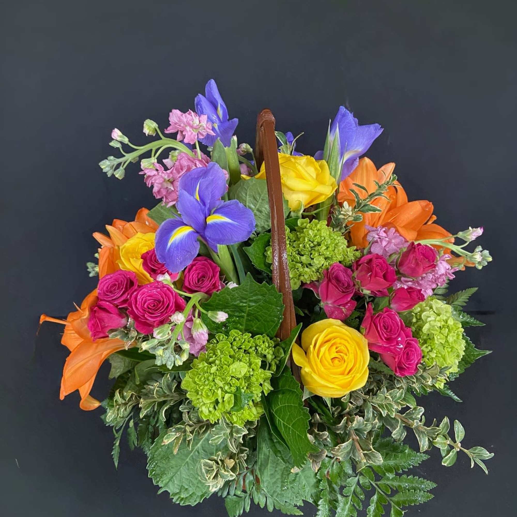 For the color lover in your life! Featuring 6 different types of, photo 2 of 2