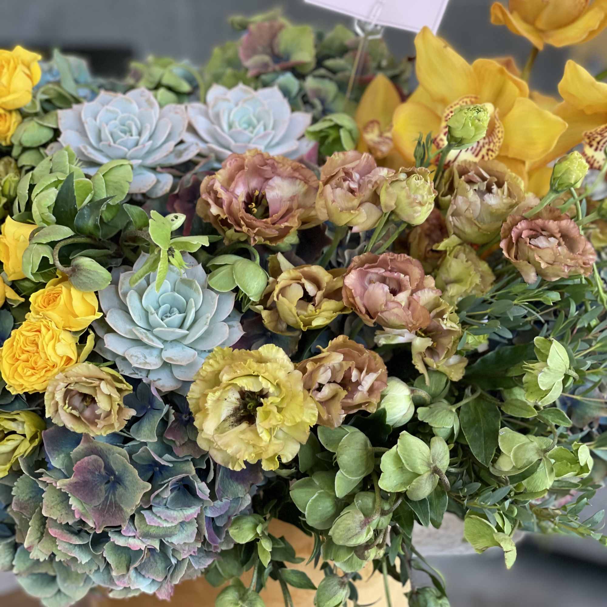 Mixed bouquet with succulents, yellow orchids, and pastel lisianthus