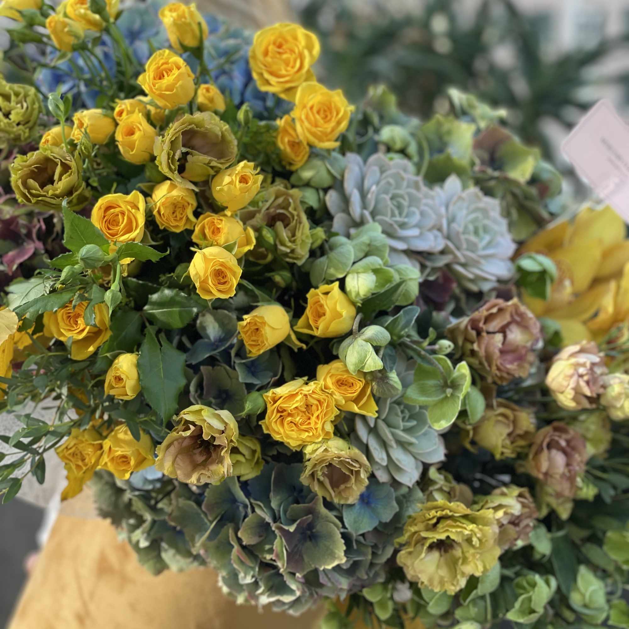 Bouquet of yellow roses with blue and green succulents