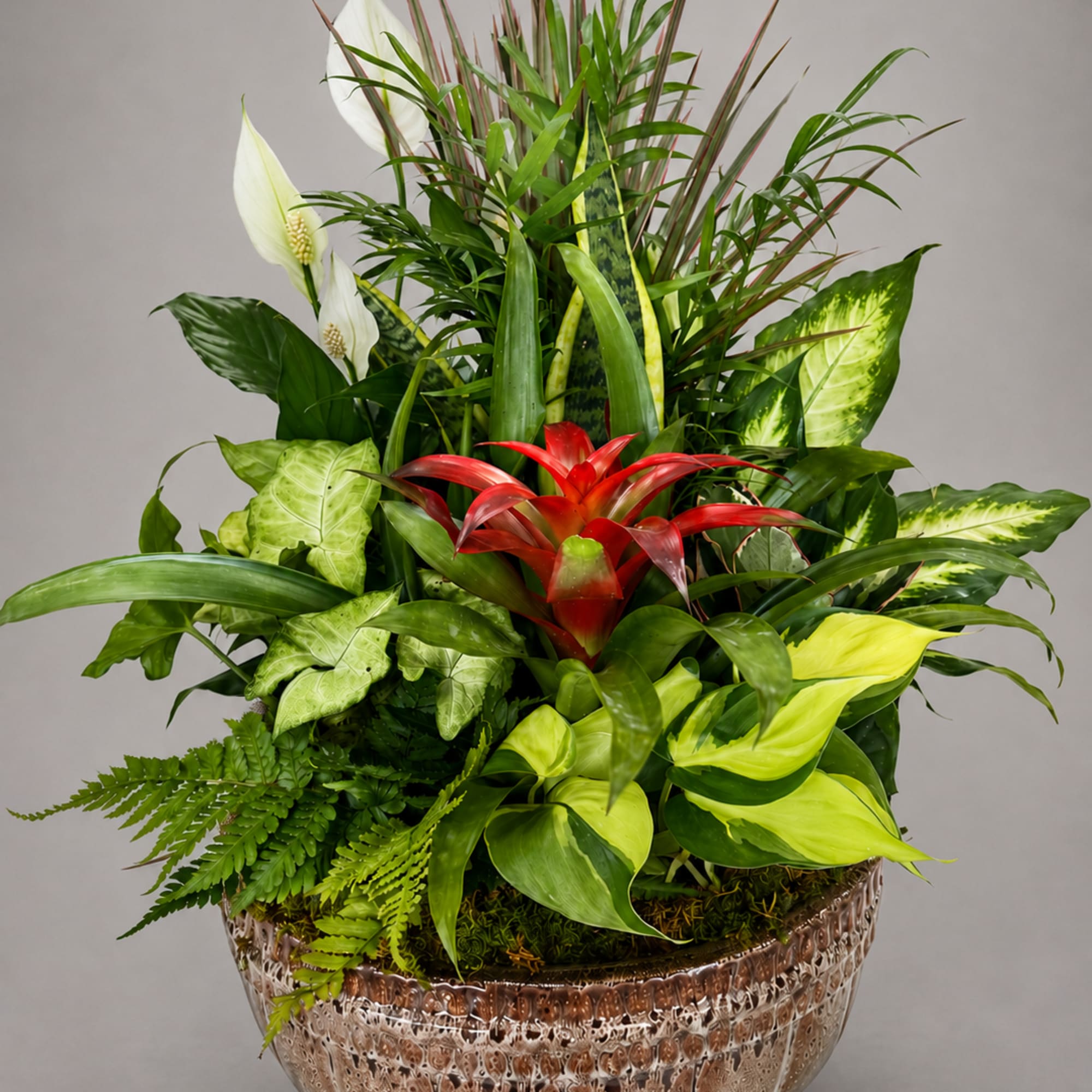 Tropical plant arrangement in a textured glass bowl with red and white blooms