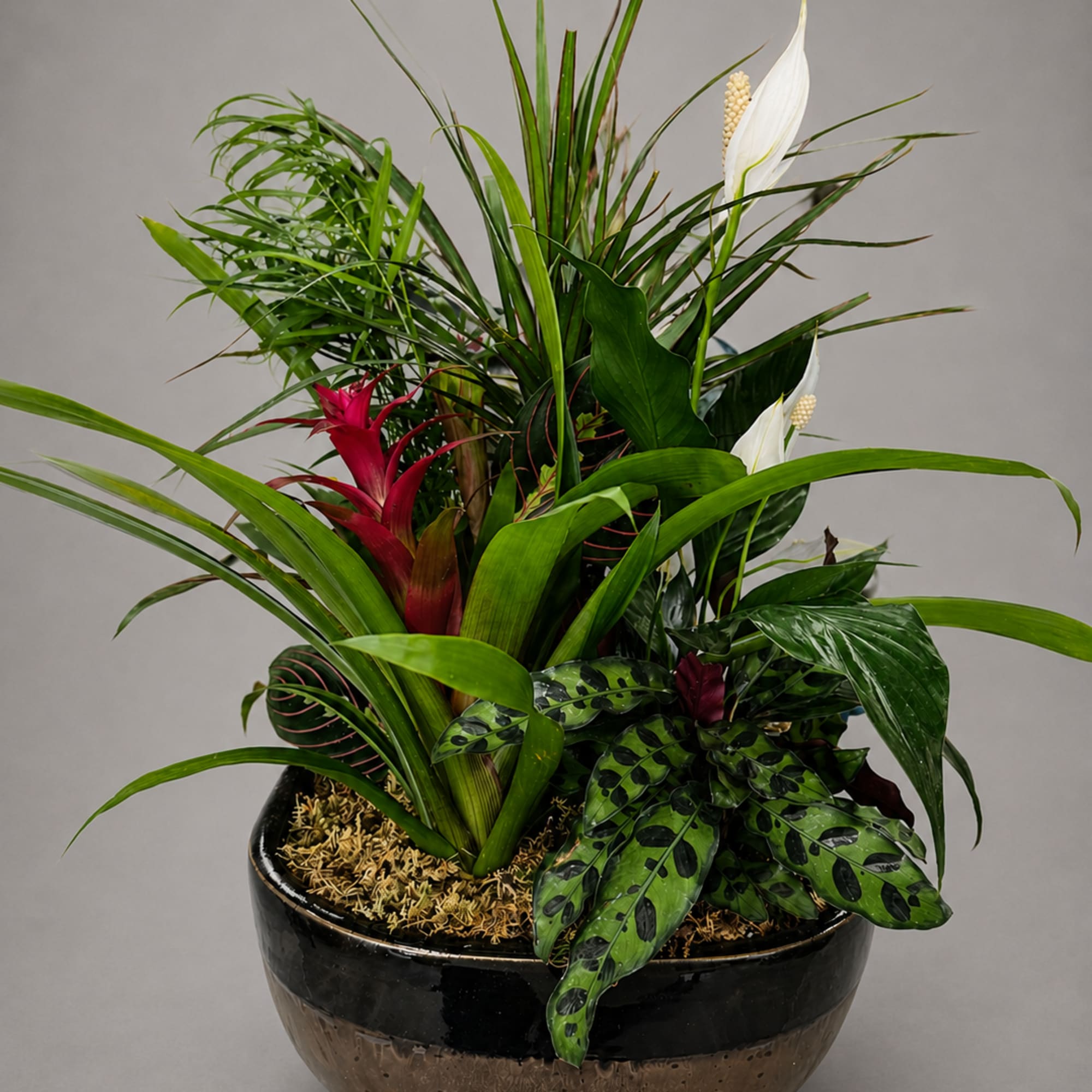 Tropical plant arrangement in a black bowl with white blooms
