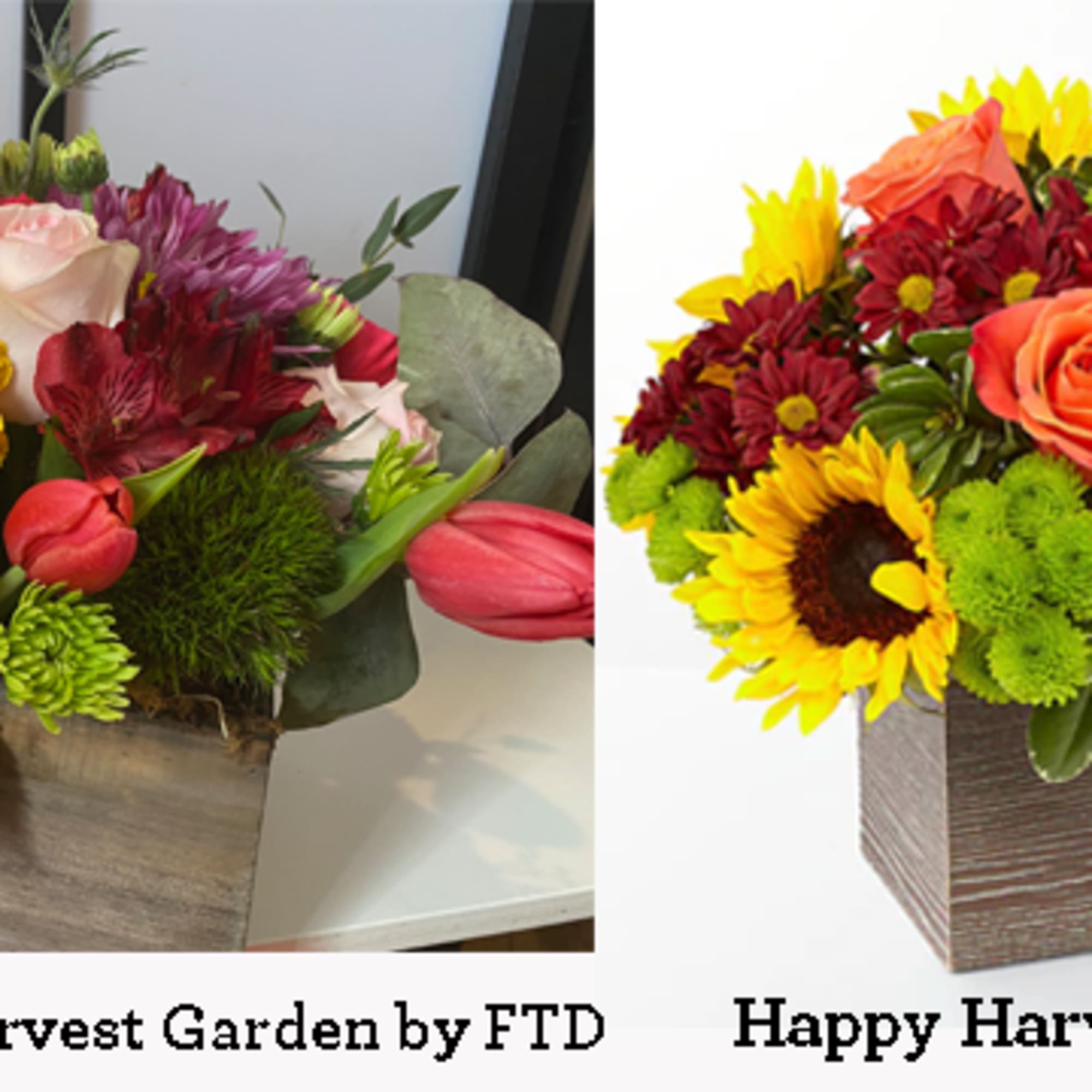 Posies Version  - Celebrate the season with our custom interpretation of