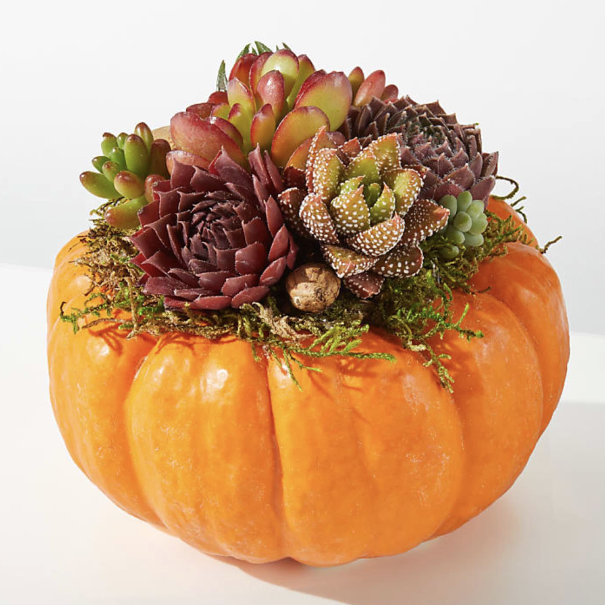 Oh My Gourdness! Take your Fall d&eacute;cor to the next level with