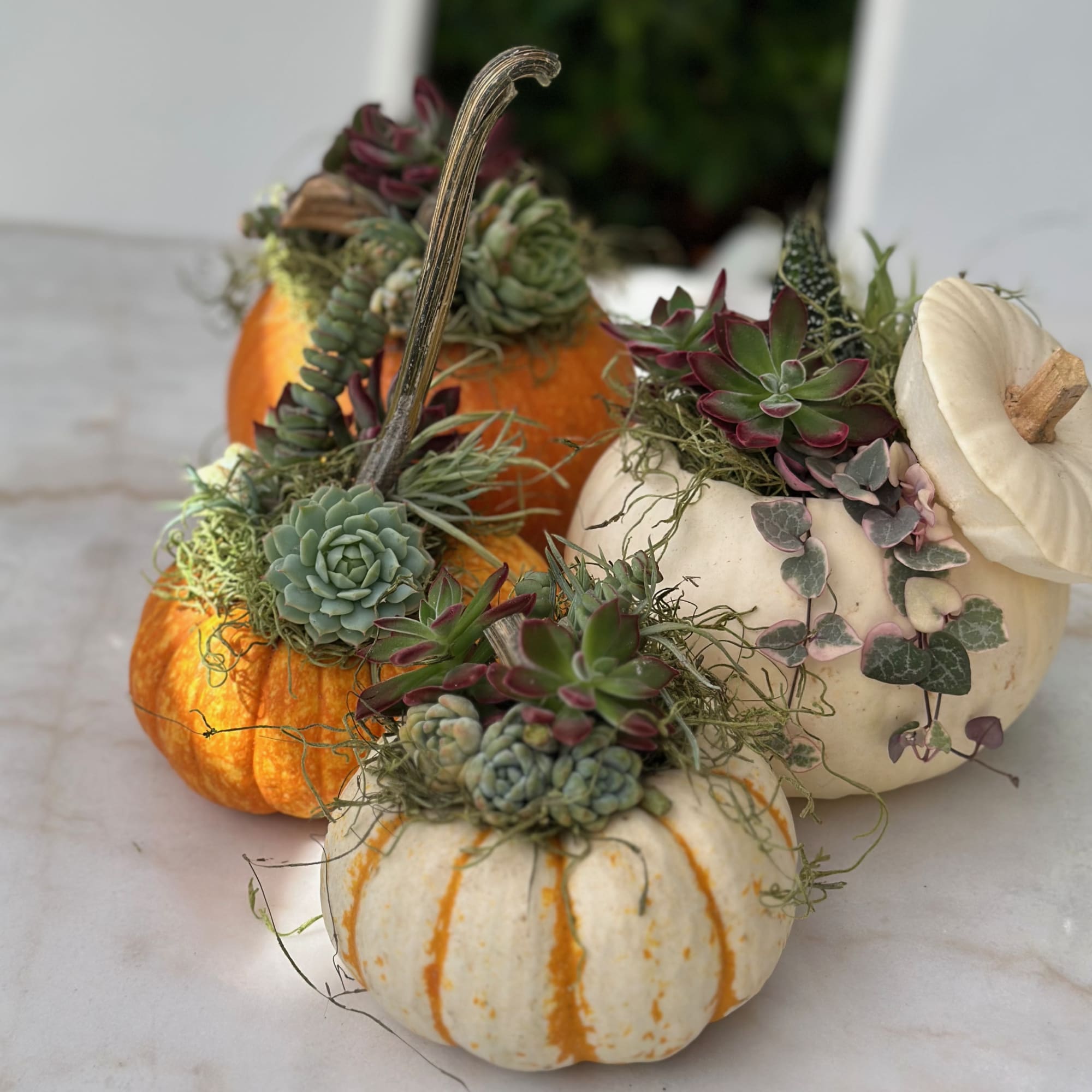 Oh My Gourdness! Take your Fall d&eacute;cor to the next level with