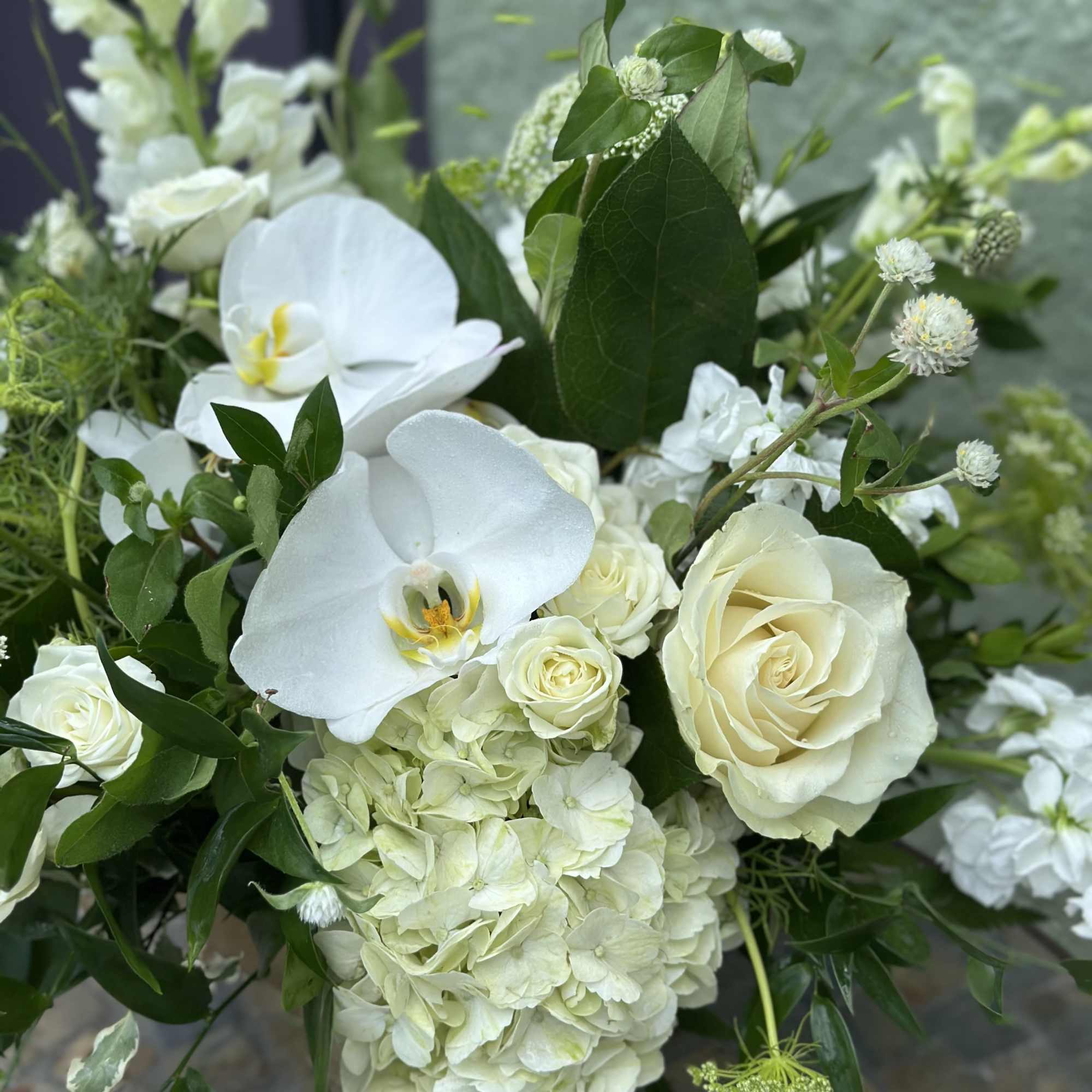 White roses, hydrangeas, orchids, and snapdragons arranged in a lush white and green floral design