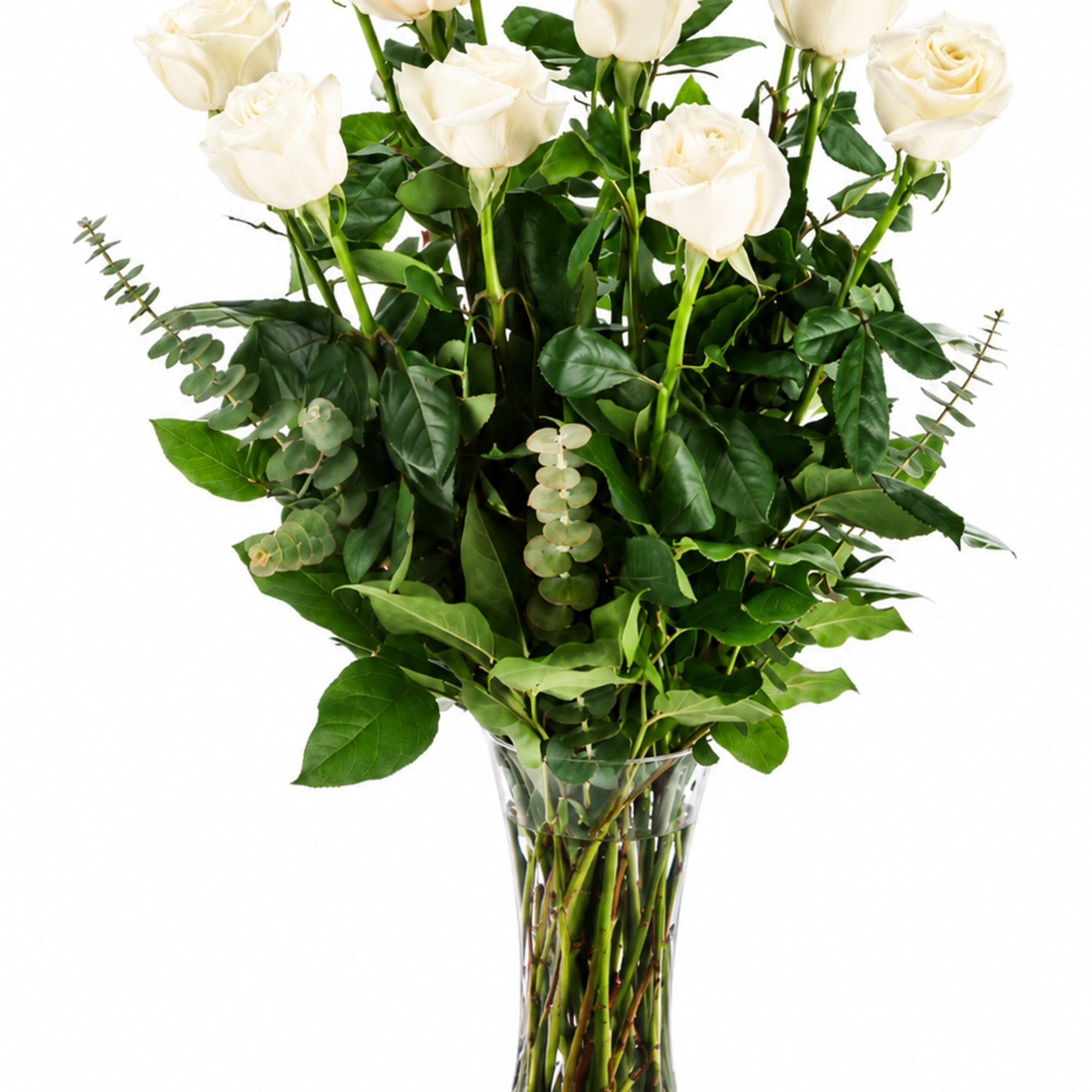 Tall, elegant white roses rise above a cloud of rich green foliage