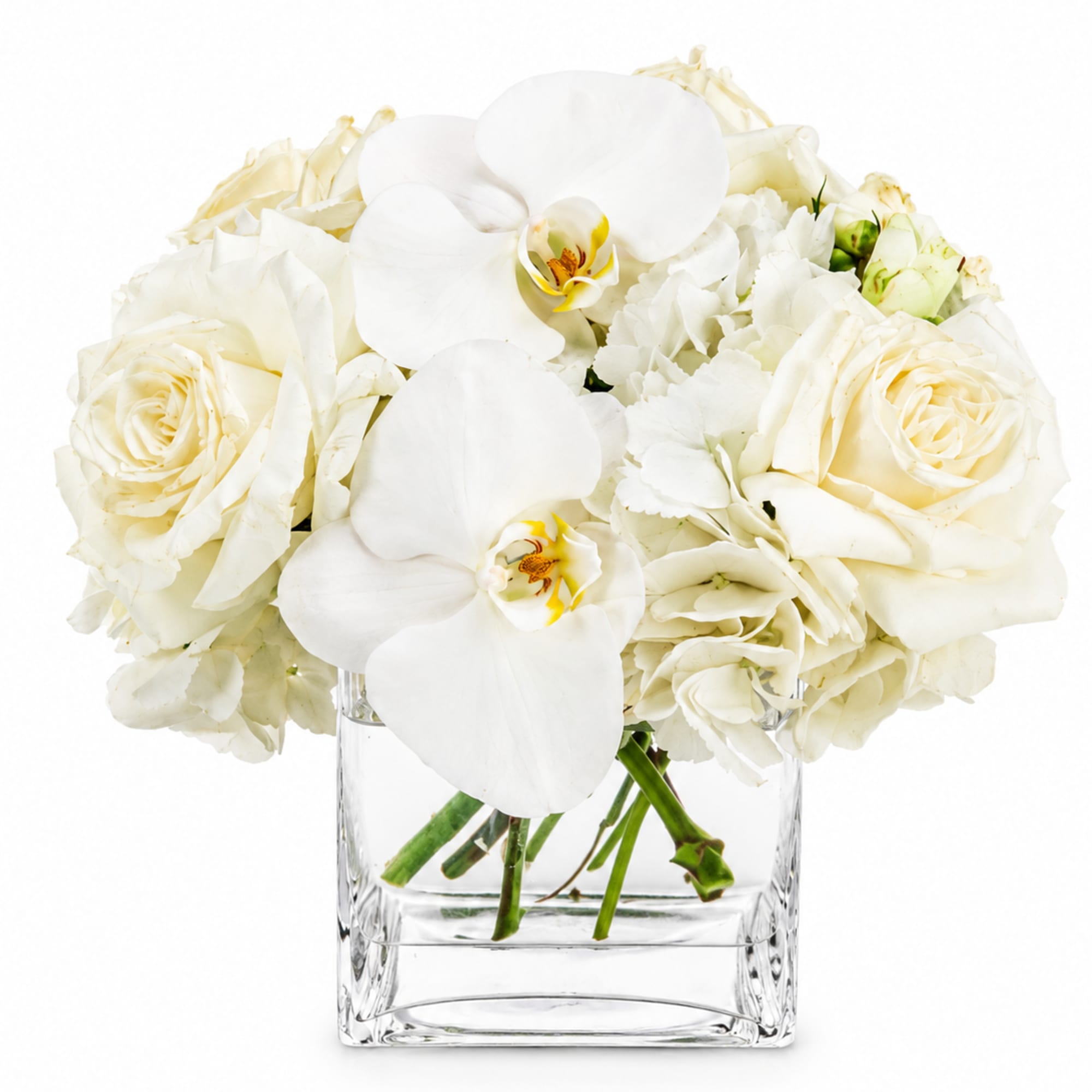 Pure white florals arranged into a pillow of soft texture-this all-white flower