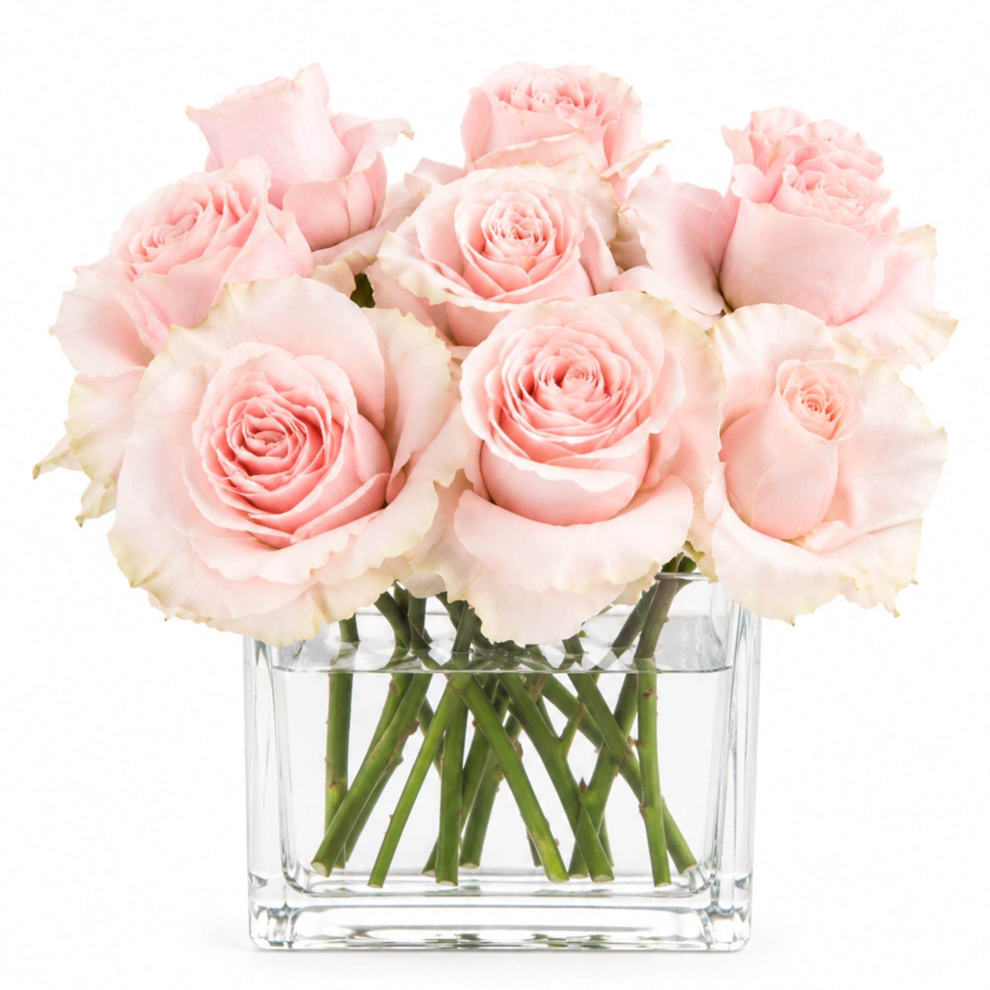 Pale blush roses with creamy ivory edges are arranged like a pile