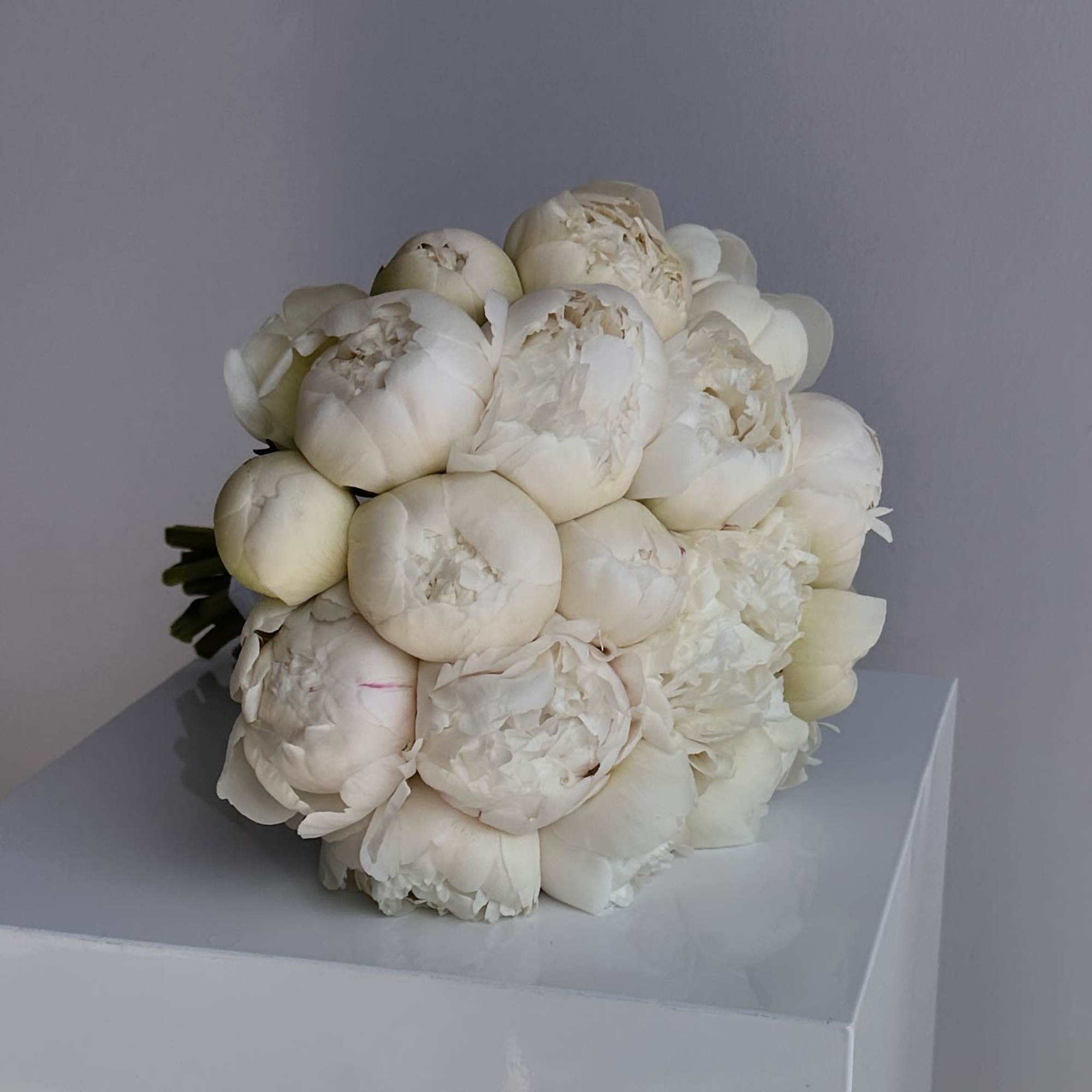 Round hand-tied bouquet of ivory peonies resting on a white pedestal