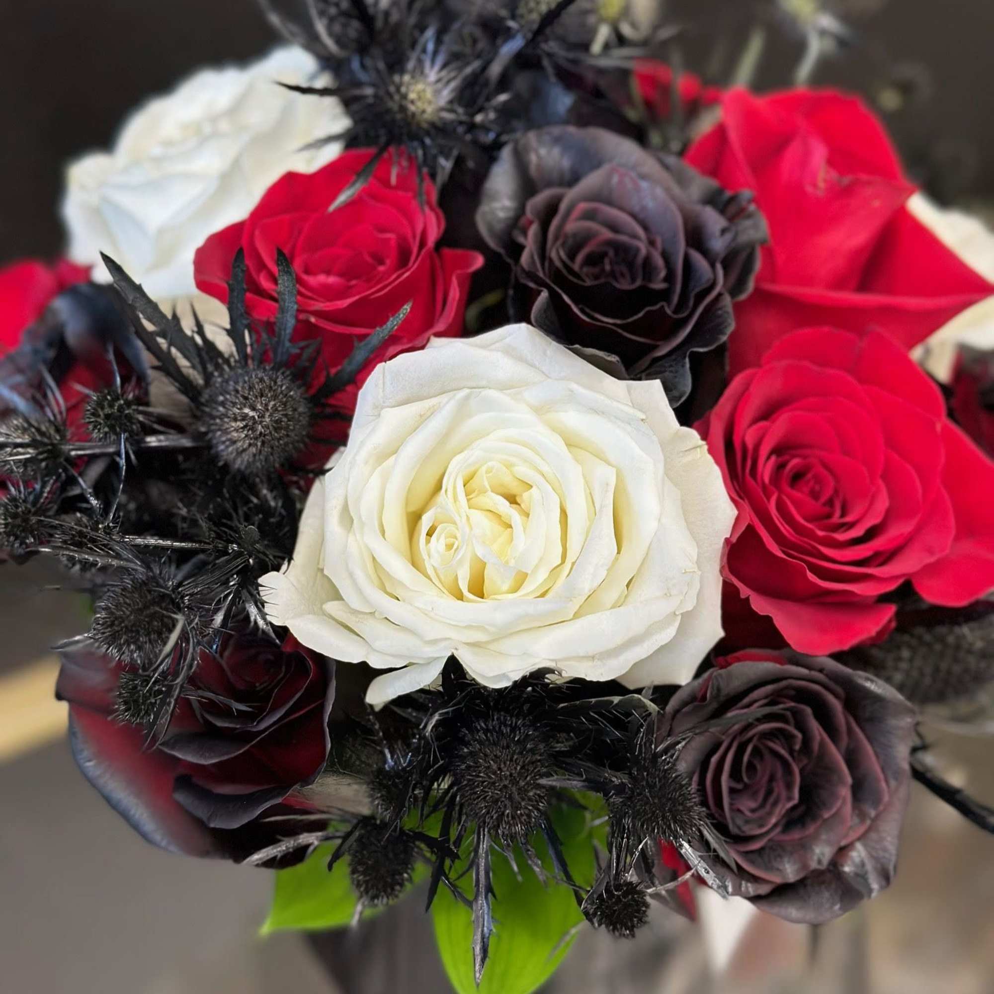 Bouquet of red, white, and black roses with dark thistle-like accents