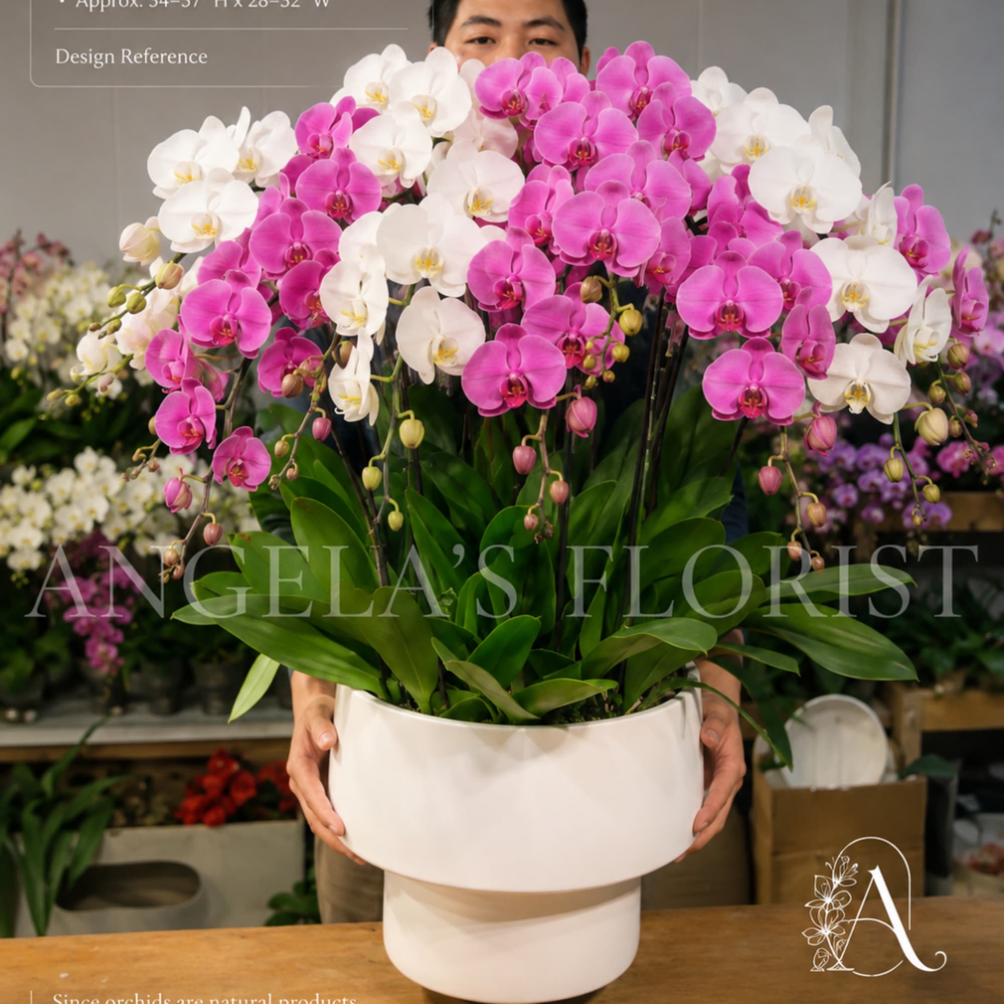 Pink and white orchid arrangement in a white pedestal vase