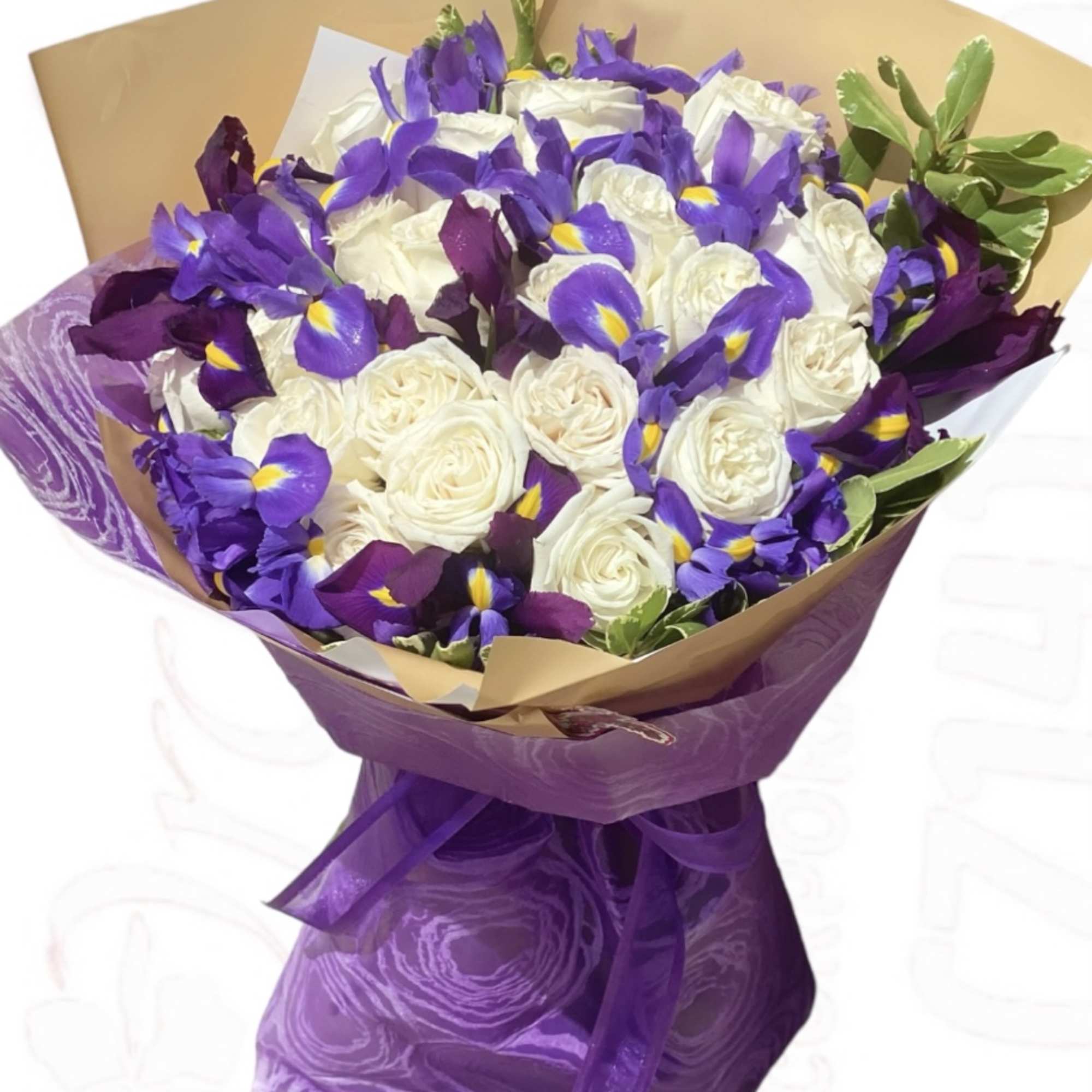 Bouquet of white roses and purple irises wrapped in purple paper