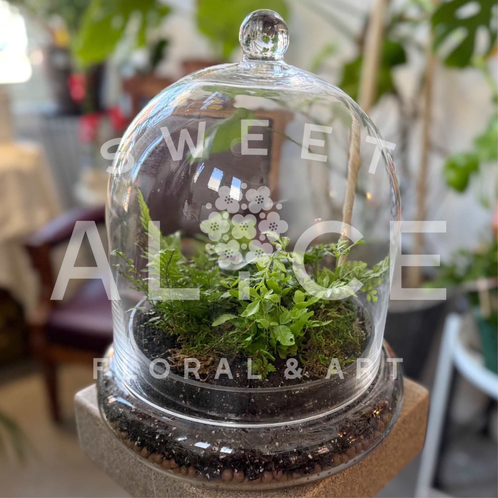 A delightful wilderness under a clear glass cloche, this Ferngully Terrarium is
