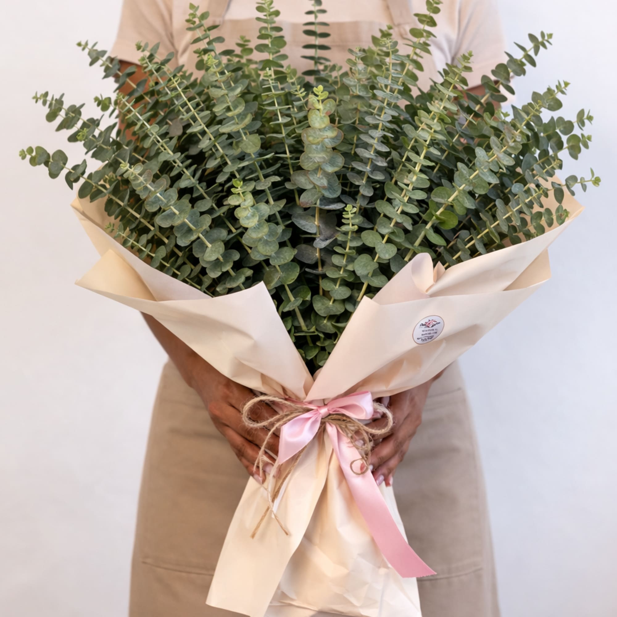 Large bouquet of eucalyptus wrapped in cream paper with a pink ribbon