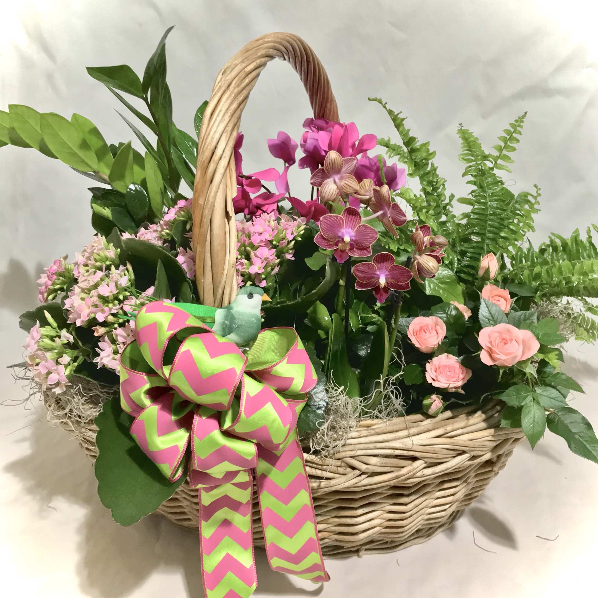 Basket of mixed green plants with pink orchids and peach spray roses, finished with a bright bow.
