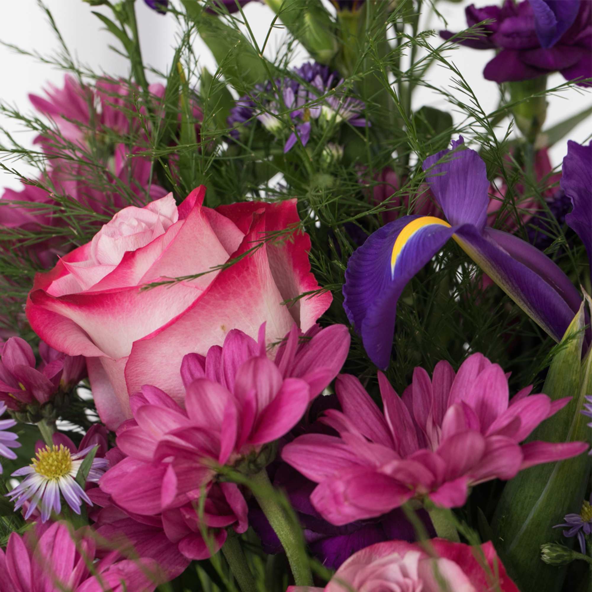 Mixed bouquet with a pink rose, purple iris, and pink and purple daisies.