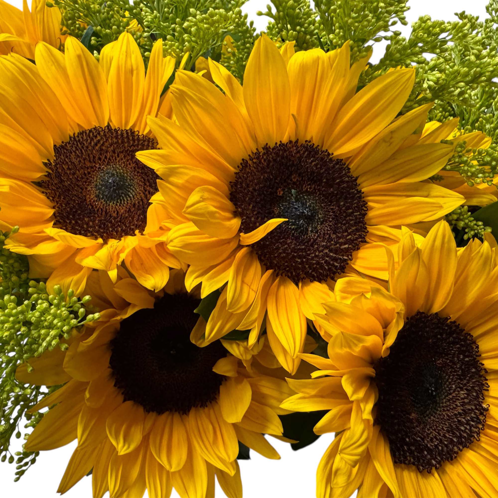 Bouquet of yellow sunflowers with green filler flowers