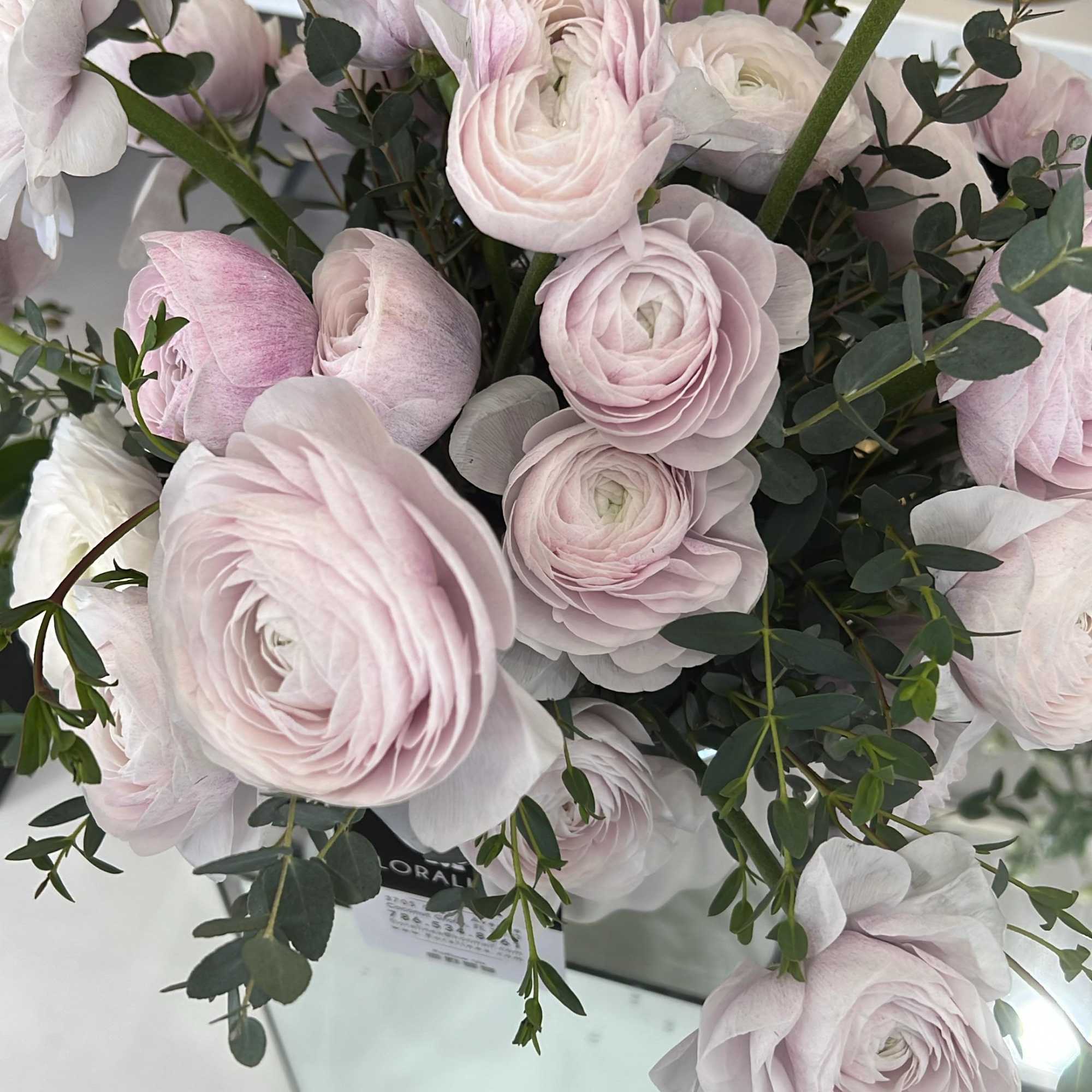 Bouquet of pale pink ranunculus with eucalyptus in a glass vase