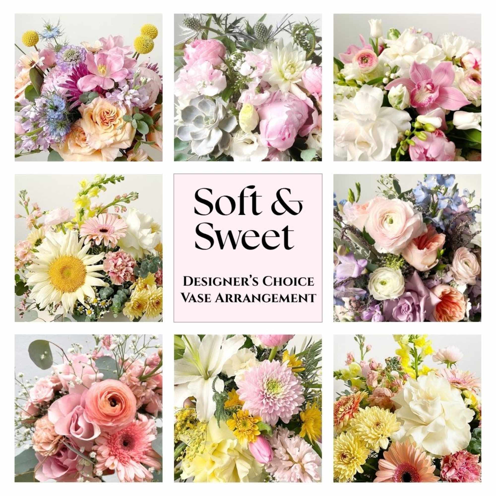 A gentle palette of muted pastels which may include any or all