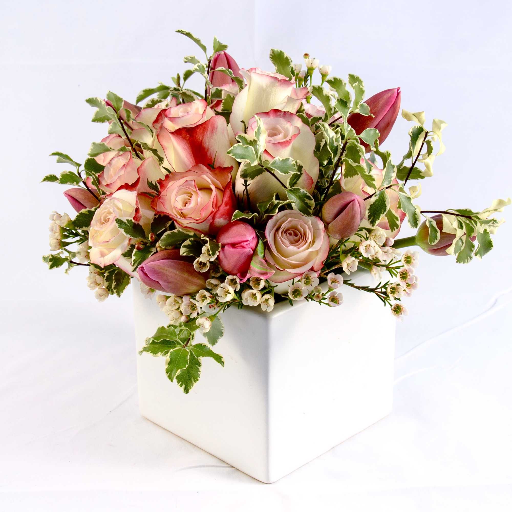 Pink and white roses in a white square vase