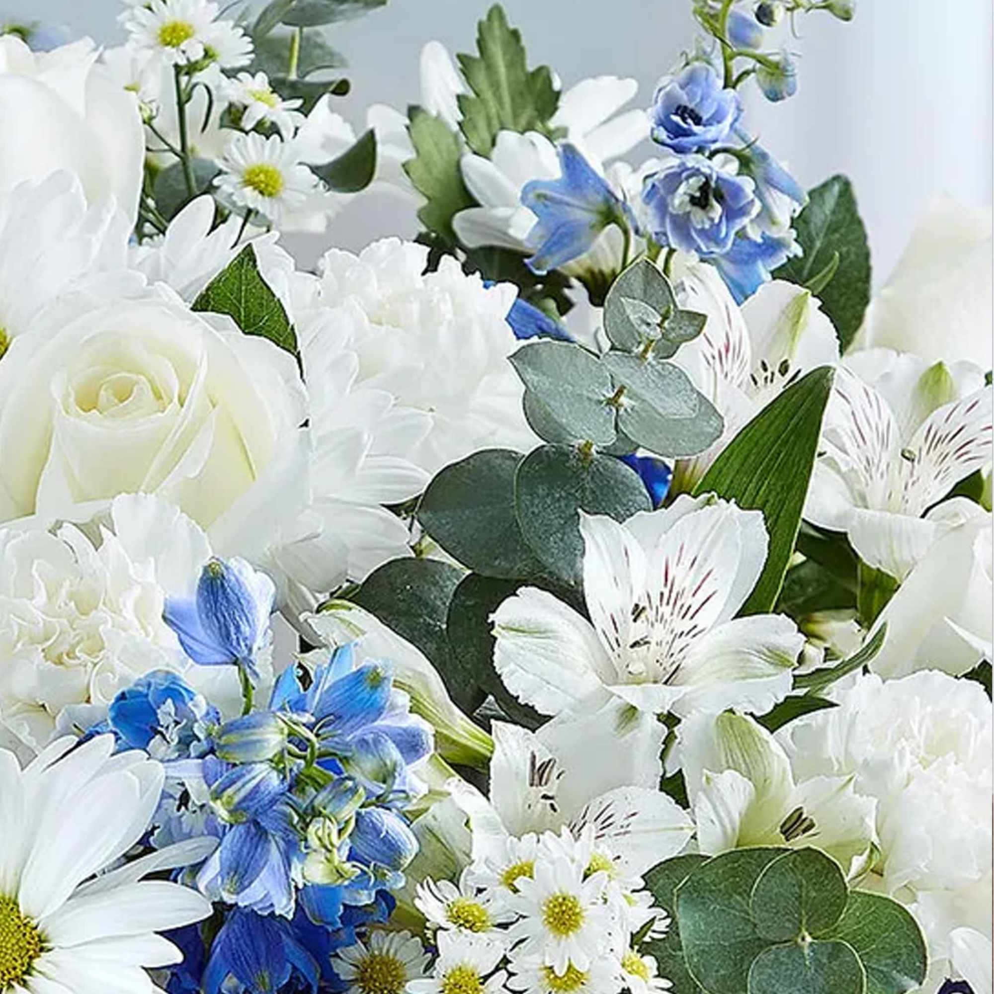 All white arrangement of white roses, alstroemeria, carnations, daisy poms and monte, photo 2 of 2