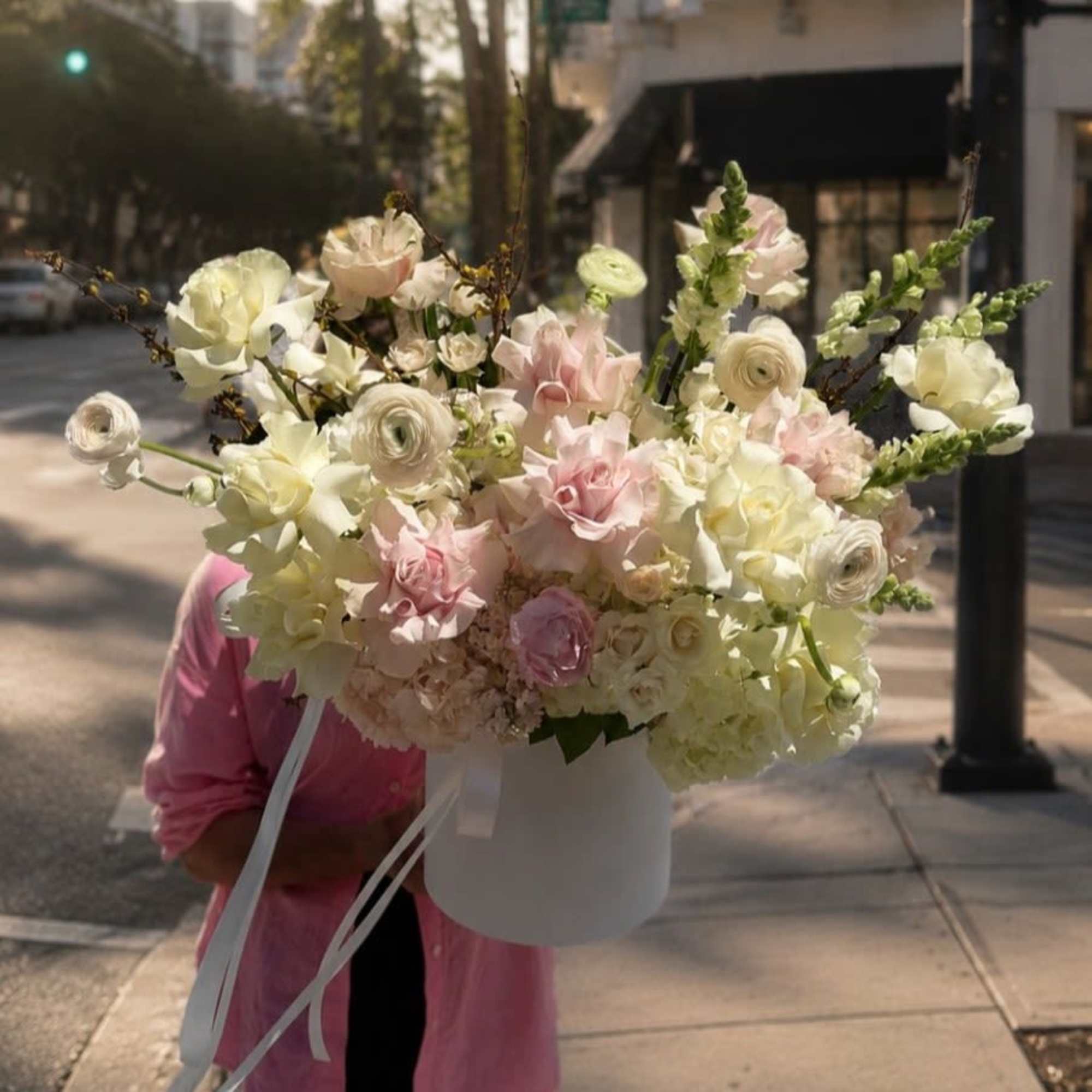 Soft white and blush petals unfurl like a warm evening breeze in