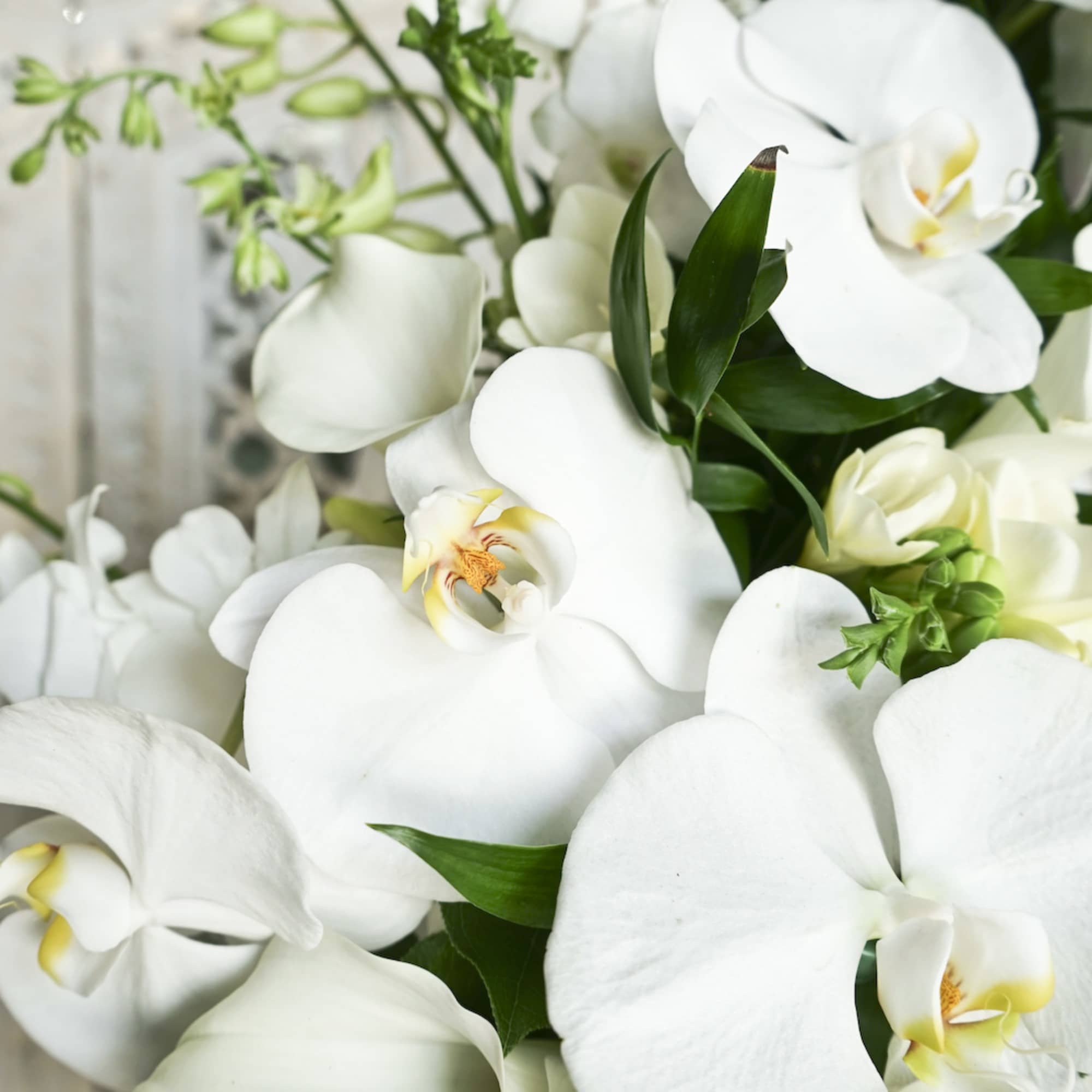 White orchids and calla lilies in a close-up floral arrangement