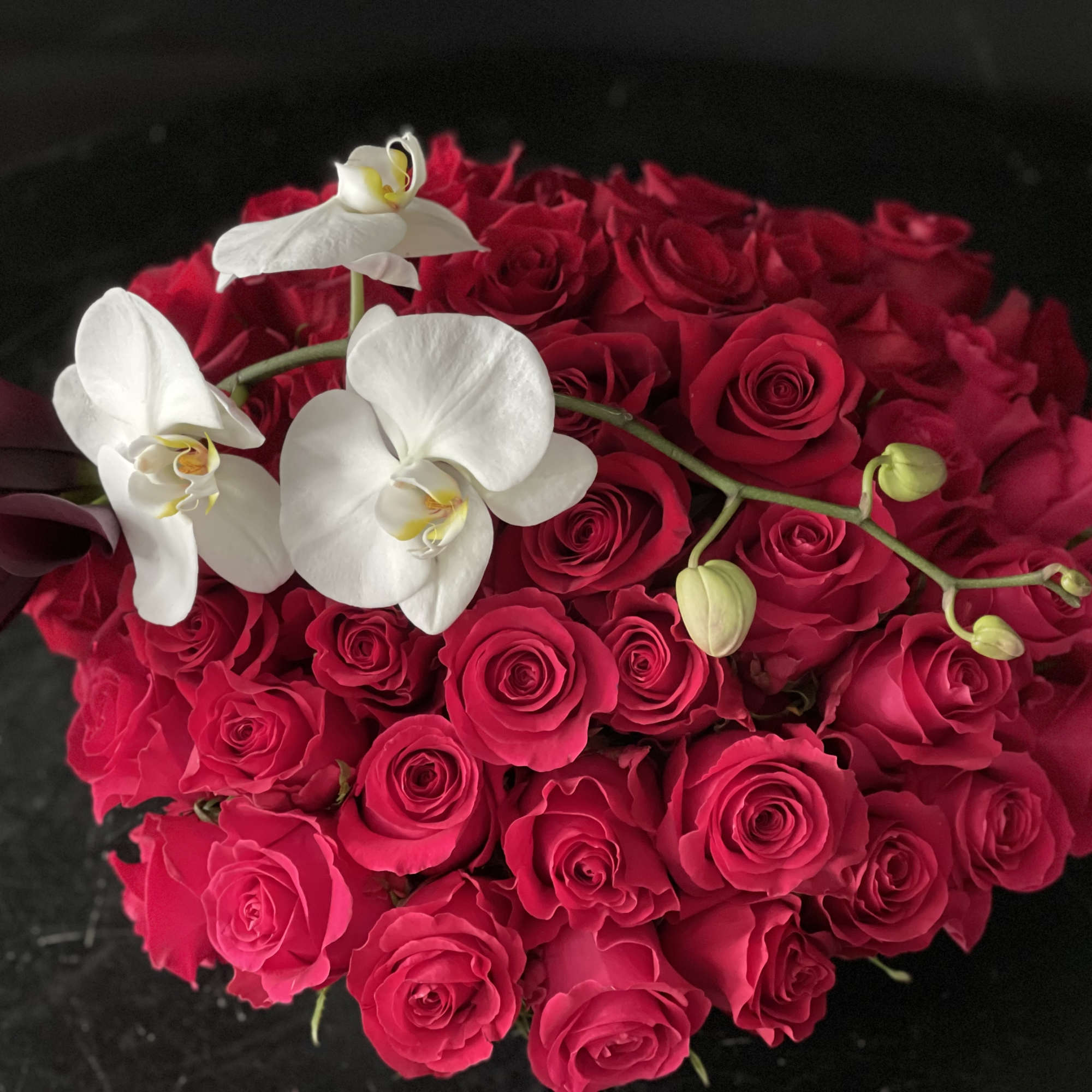 60 Red roses with one orchid stem and 10 romantic dark callas, photo 5 of 10
