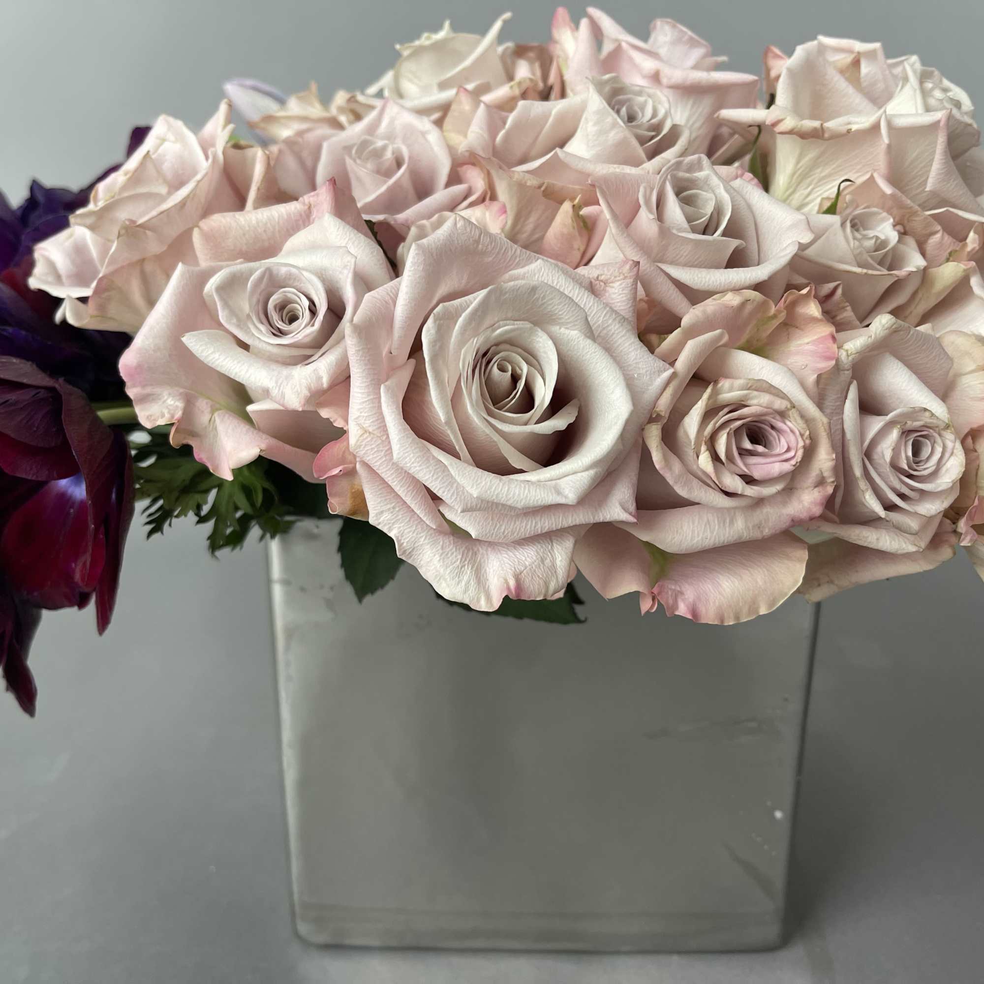 Pale pink roses arranged in a clear square vase with dark purple flowers at one side.